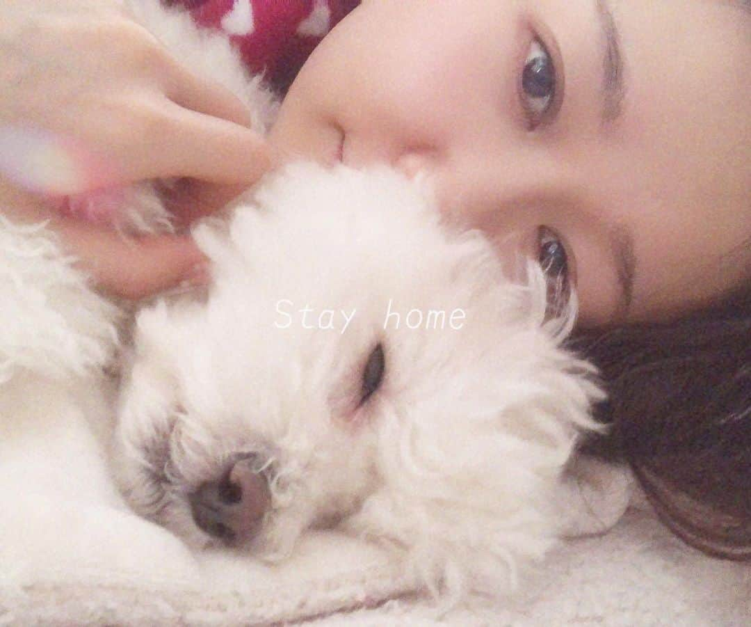 浦野一美さんのインスタグラム写真 - (浦野一美Instagram)「毎日愛犬と寝て、起きたらスーハーして今日もいい香りだなあ〜って 幸せに浸っているけど、 今は、今日も鼻が機能してる！よし！ って自分の健康管理も兼ねるようになっています。  もし、この幸せな朝を迎えられないとしたら辛いので とにかく家にいる。  今夜は21時からYouTube LIVEを初めてやってみます✊🏻 いつものインスタライブより1時間早いから、気を付けてね❣️. .  #stayhome #外出自粛#dog#犬#愛犬#愛犬との暮らし #happy#nocorona」4月2日 18時20分 - cindy.cinderella