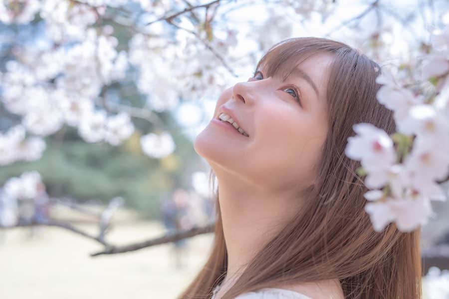 利咲のインスタグラム：「今年はお花見が出来なくて残念ですね﻿ 毎年桜を見るたび、﻿ 一年間の早さや一年前の記憶が蘇り﻿ 懐かしくなったり切なくなったりするのですが﻿ ﻿ 一年後また桜を見ていたら﻿ 一年前の今に対して何を思うのでしょう﻿ どんな風に見えてるのでしょう　﻿ ﻿ 静かに耐え忍ぶ桜と共に🌸﻿ ﻿ ﻿ I'm sorry that we couldn't see cherry blossoms this year﻿ When I see cherry blossoms every year,﻿ Feeling the speed of one year, the memory of one year ago revived﻿ I get nostalgic and melancholic.﻿ ﻿ If you look at the cherry blossoms one year later, what do you think of the one year ago now?﻿ What does it look like?﻿ ﻿ With the cherry blossoms enduring quietly🌸﻿ ﻿ ﻿ #桜 #🌸 #さくら #桜の絨毯 #春 #spring #桜ポートレート #桜ポトレ #花 #flower #花ポトレ #新宿御苑 #cherryblossom #cherryblossoms #sakura #sakura🌸 #portrait #shooting #shinjukugyoen #japan #tokyo」