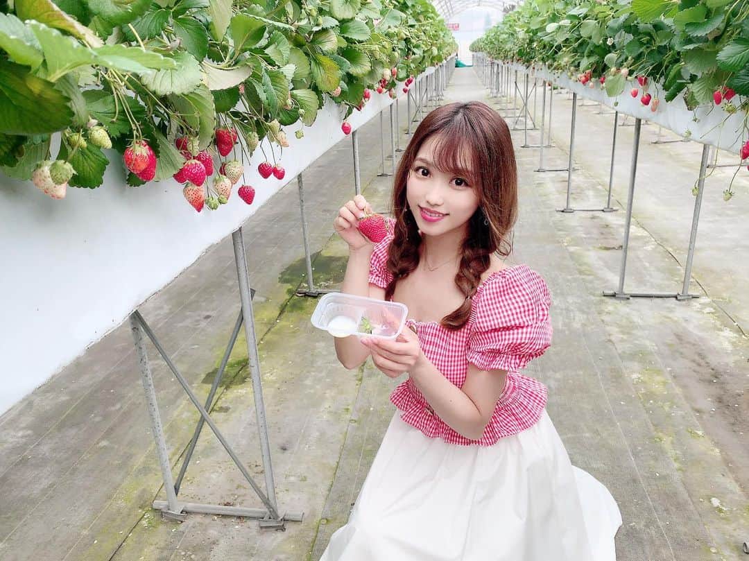 穐田和恵のグルメインスタ