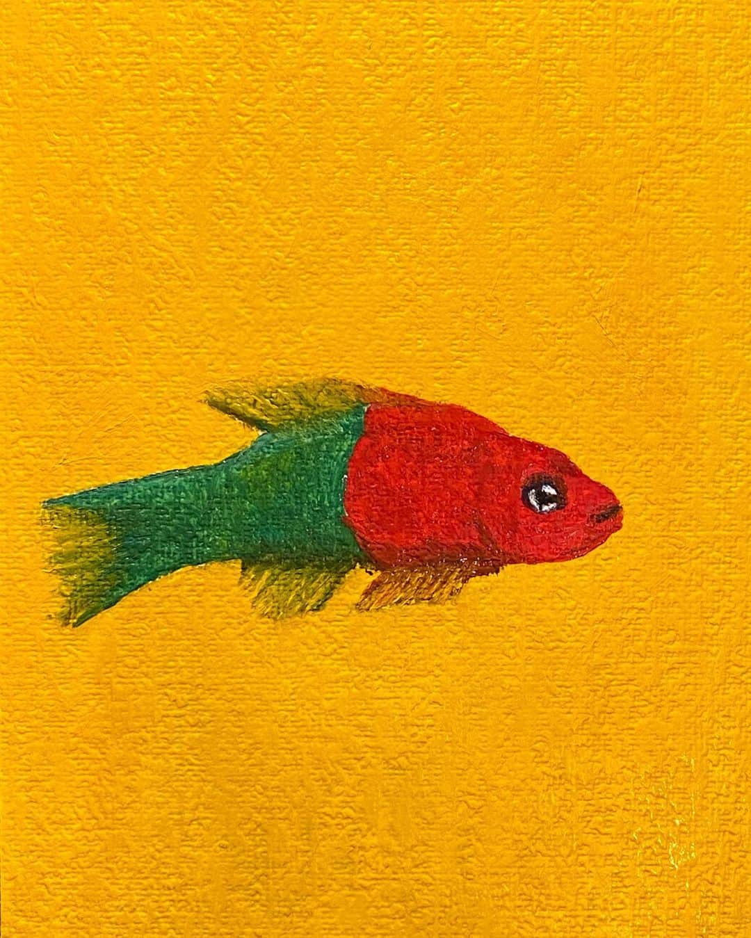 浅野忠信のインスタグラム