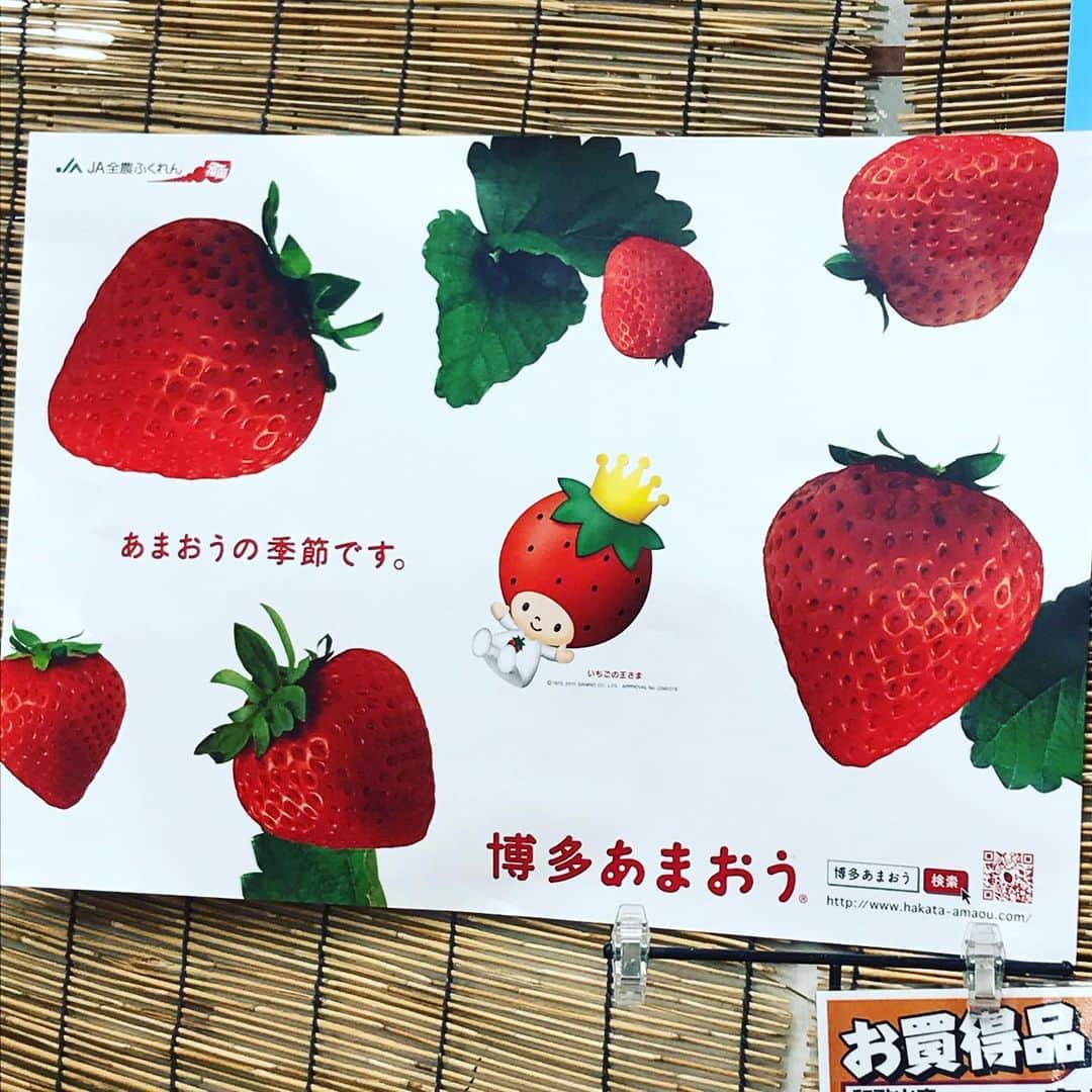 橋本大地さんのインスタグラム写真 - (橋本大地Instagram)「#いちごの王さま」4月2日 19時48分 - risingddt_daichi