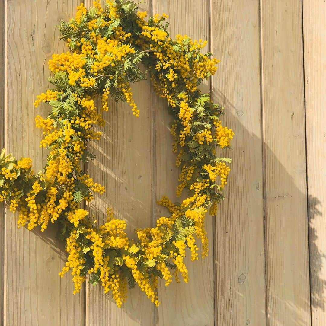 中川政七商店さんのインスタグラム写真 - (中川政七商店Instagram)「「思いやり、という花言葉を込めて。」﻿ ﻿ 奈良オフィスの庭に植えたミモザが今年もまた、ふわふわの花を咲かせてくれました。﻿ ぽかぽかの陽気に包まれながらリースをつくり、会社玄関のドアに飾っています。﻿ ﻿ ミモザには、”思いやり”という花言葉があります。 ﻿ 眠い目をこすりながら毎朝会社の戸を開けるとき、少しでもみんなが春を感じてくれるといいな。﻿ ﻿ #中川政七商店 #ミモザ #リース  #植物のある暮らし #植物 #植物のある生活 #花のある暮らし #花のあるくらし #春の陽気　#ミモザ好き #mimosa #花のある生活 #花好き #flower #flowerstagram #暮らしを楽しむ #暮らしの記録」4月2日 20時23分 - nakagawamasa7