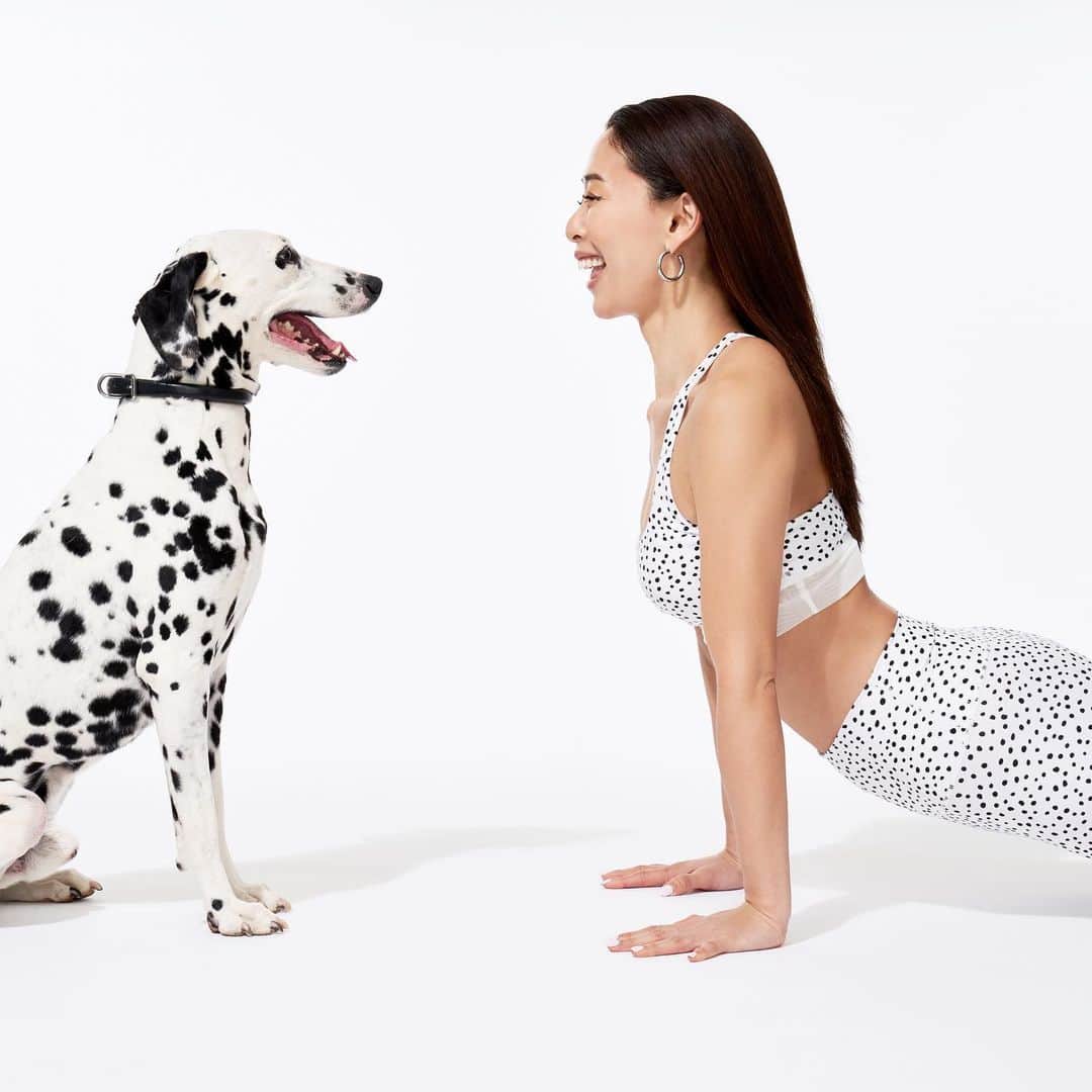 のインスタグラム：「ダルメシアン×ダルメシアン🤍 でアップDogのポーズ🐕  このコの名前はシュウくんです😆  ダルメシアン柄のスポーツwear 水陸両用 気持ちよーいスムース生地⤴︎ 白はとっても気分が上がる🤍  @nergyjapan のオンラインとshopにて発売中です。」