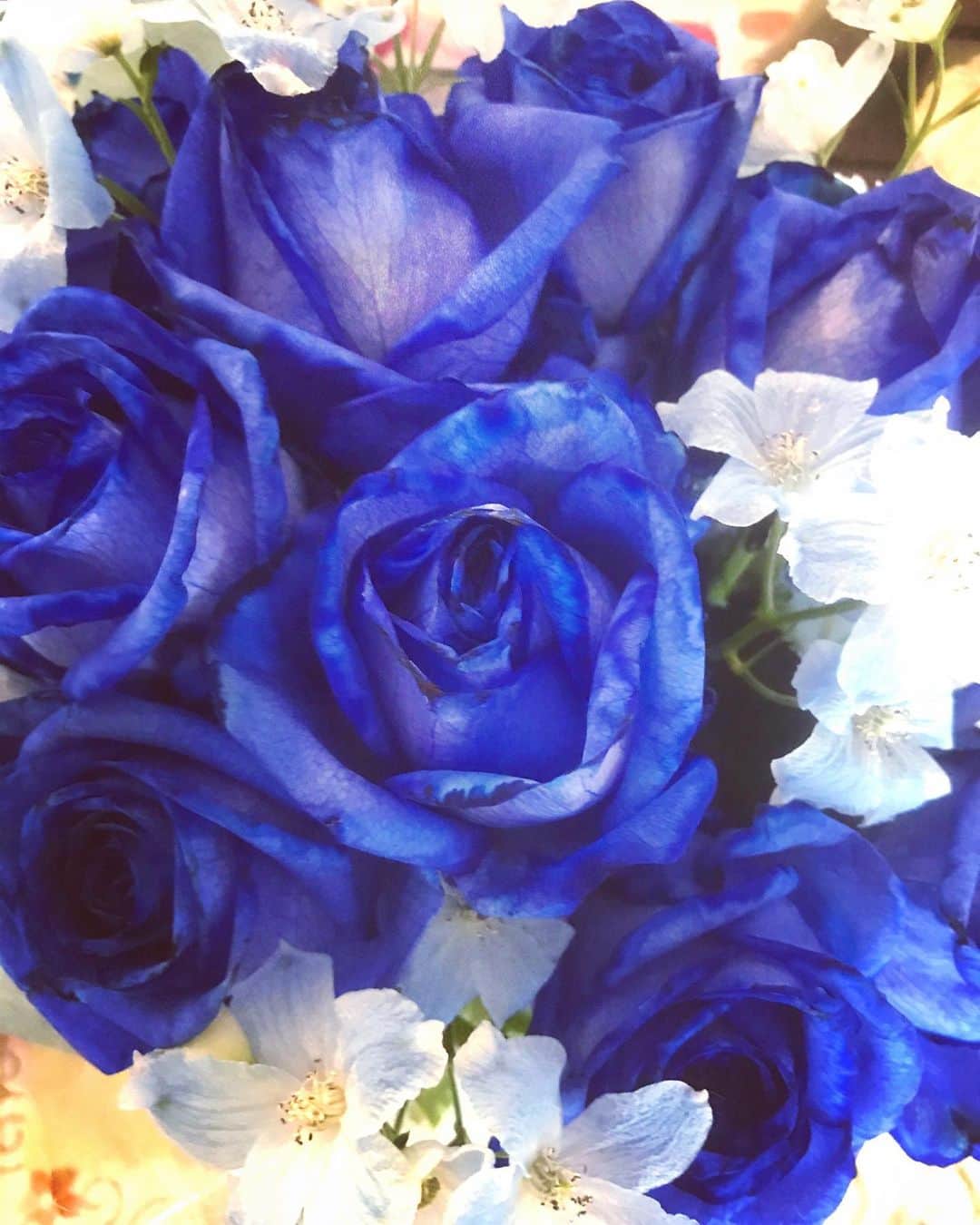 岡まゆみのインスタグラム：「先日LIVEの時に頂いた青い薔薇🌹花言葉は「喝采」ありがとうございます😊#青い薔薇#花言葉#喝采#岡まゆみ」