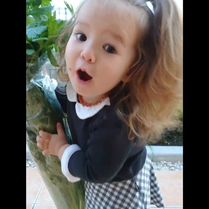 ピーチフラワーのインスタグラム：「· セロリと一緒に写真を撮ってみました。 · このセロリとーっても美味しいんです! 見つけたら絶対に買います🤩 · 「おもたーい」と言いながらも自分で持ちたいYuki😊 · Yukiは生だとセロリを食べないですが調理するとモリモリ食べます😁 · もちろんHanaは洗ってこのままの長いセロリをボリボリ食べます😁 · Momoはソースガールなので、ドレッシングやマヨネーズをつけたい派😁 · · #セロリ大好き #宮崎県 #ピーチフラワー  #2歳」