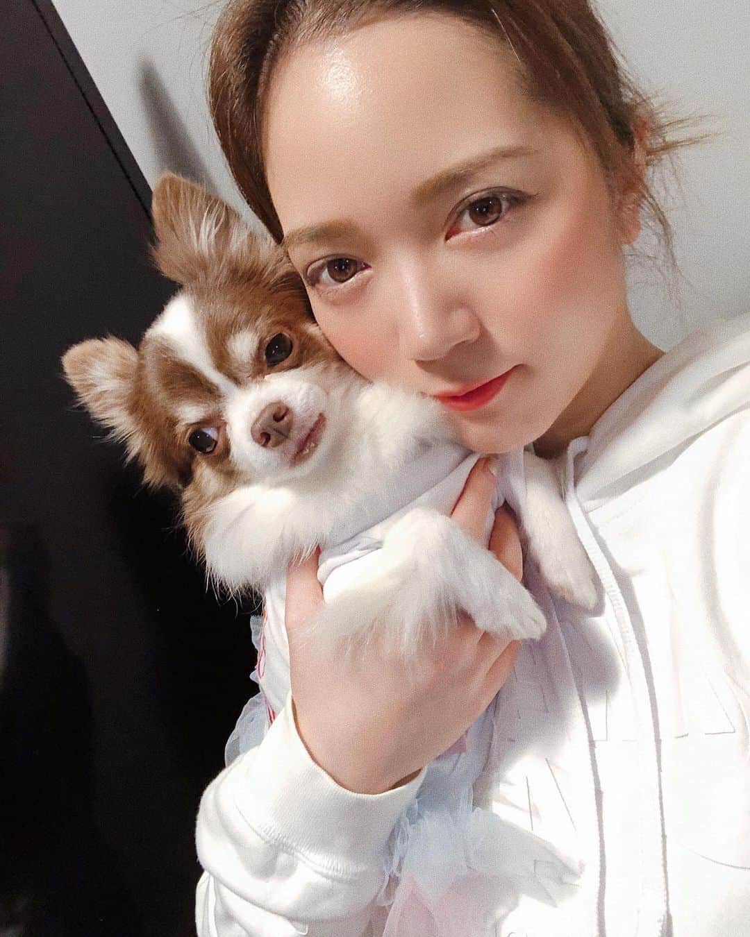 のインスタグラム：「🤍 . 昨夜はインスタライブありがとうございました🙏🏻🌸 電波が不安定でスムーズじゃなくてすみませんでした🙃🙏🏻 同じ時間、同じ場所だけど日によって違うんだぁ🤔 . 昨日の内容は「おうちのおうち🤍春曲特集🌸」 アンケートでもらってた曲や 久しぶりに弾いたクラシックの春曲 即興で弾いたり…ゆるーく楽しい時間でした🥰🎻 . 昨日はミル姫のお誕生日だったので バースデーソングも🎂🐶 . . またやりますね🌸 今度は弾きながらさよならしないようにします😂🙏🏻 写真は配信後のねむねむな妹🐶💤 . . #MusicisMyLife #thankyou #Tokyo#Japan#Violinist#Artist#Traveler#music#love#happy#musicianslife#violin#girl#dog#pet#chihuahua#cute#birthdaygirl#birthday#selfie#相知明日香#旅するヴァイオリニスト#旅#旅行#東京#日本#ヴァイオリン#ヴァイオリニスト#インスタライブ#愛犬」