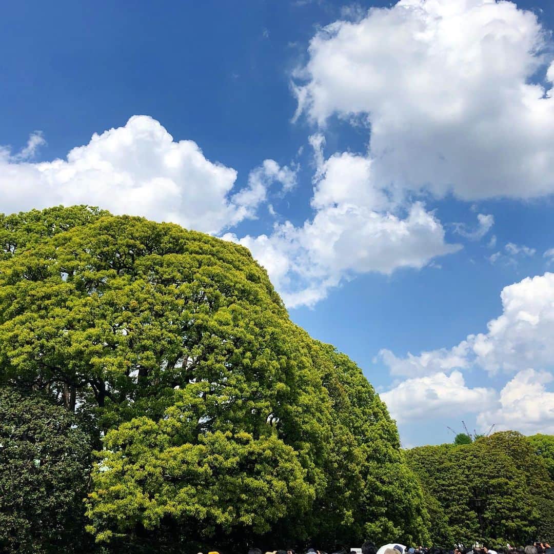 青木良文のインスタグラム：「新年度となる4月が始まりました。  4月は“木（もく）”の気を持つ1カ月。 木の月は言霊の力が、より強まるそう。  目に見えない言霊は、勇気や元気をくれたり、励まされたり、癒されたり、背中を押してくれたりと、ポジティブな反面、悪口や恐怖心をあおったりと、ネガティブなパワーも。  口に出したことは、そのまま決定になってしまうといわれるほど、春の言霊パワーは思った以上に影響がありそうです。  特に闇の言霊はとても強く、人の心や脳を大きく支配してしまうことも。  さらに“金”の気を持つ今年は、言霊がとても大切な年だそう。 そんな時こそ、 “金”のように光る言霊を発して、さまざまな闇も払拭！  光を持つ良い言霊を発することで、周りの人にも自分自身にも光があたり、さらに輝く未来に繋がるような良い道へ、光が差すでしょう。  さらに希望も光を放つそう。  なかなか先が見えにくくなってきているこの時期、そして目に見えないものが大きく意味を持つ風の時代。  目に見えない言霊パワーを味方に、希望で光を集めたら、いまやるべきことや本質が見えてきそうです。  前向きな良い言霊で、心にも元気を。 光で道を照らしていきましょう。  #drawingnumbers #木は成長する　#言霊が味方になる　#良い言霊が光の世界へのチケット　#言霊は決定　#言霊に元気をもらう　#言葉を大切に #希望は光 #光を集めて」