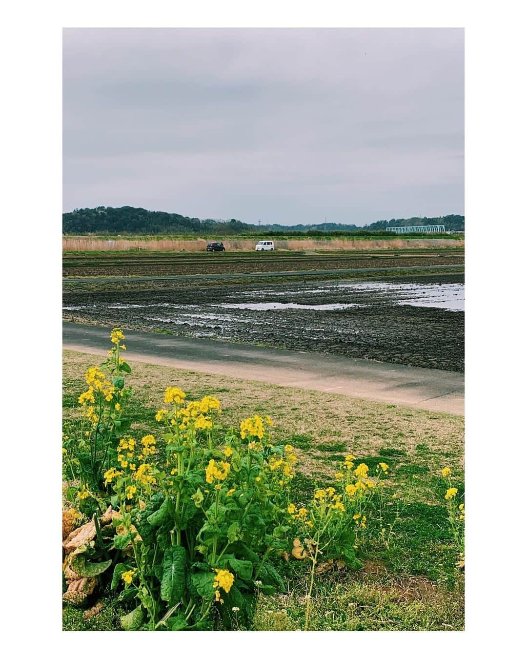 中村祐太郎さんのインスタグラム写真 - (中村祐太郎Instagram)「(あいつ)によろしく伝えてくれよ」4月2日 21時32分 - youtaronmura