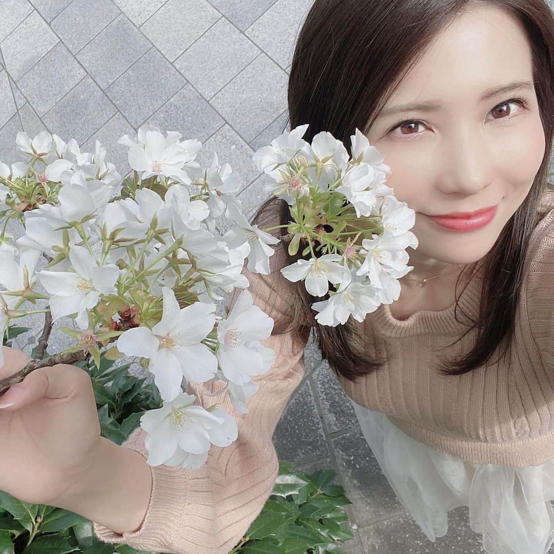 藍澤慶子さんのインスタグラム写真 - (藍澤慶子Instagram)「桜と私。 #花見したい #みんなに会いたい #家から出たい #さくら #来年も桜は見れますと言ったけど #今年の桜は今年しか見れんのじゃぼけーーーー #cherryblossom #japan #iwannabeproudtobejapanese」4月2日 21時50分 - kepiko928