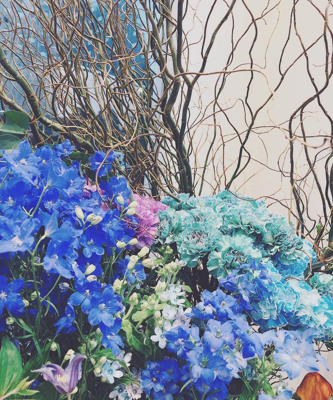 宮内理沙さんのインスタグラム写真 - (宮内理沙Instagram)「🥀💙 . . . #いつかの写真シリーズ」4月2日 23時05分 - risa_miyauchi