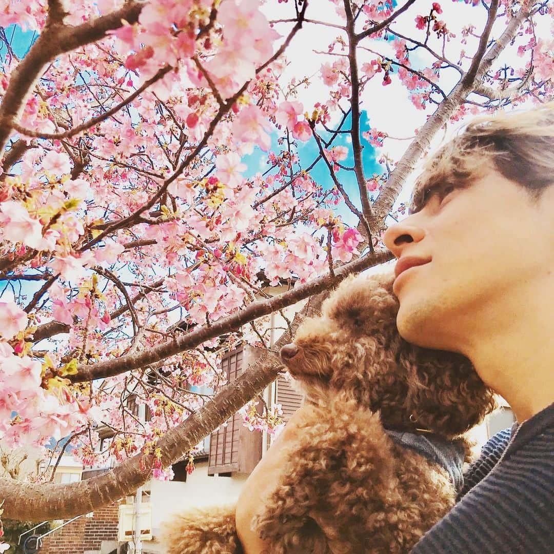 城田純さんのインスタグラム写真 - (城田純Instagram)「Buenosdias desde Tokyo.  元気ですか？  写真は2月に河津桜見に行った時のです」4月3日 9時10分 - junbopeace