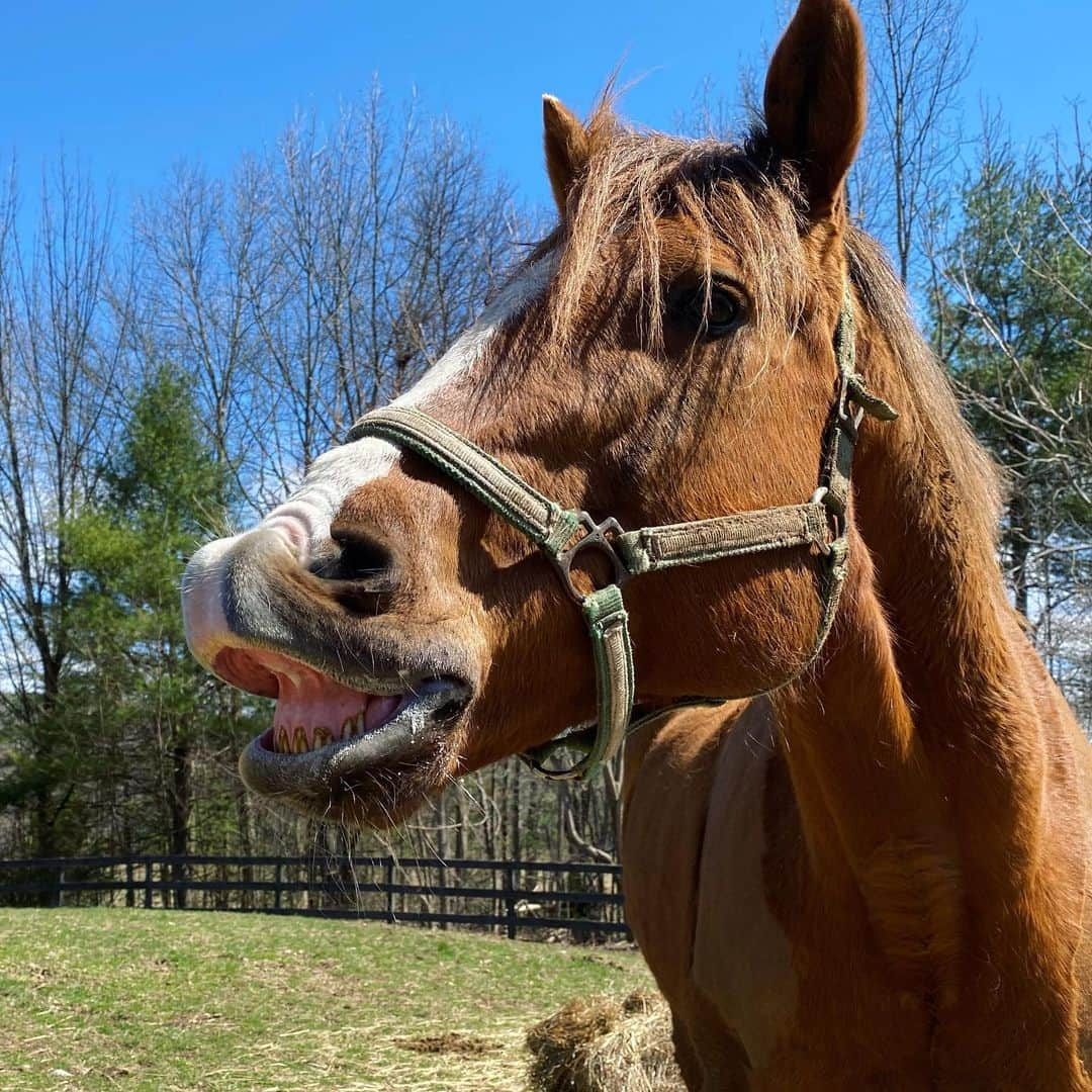 アマンダ・サイフリッドさんのインスタグラム写真 - (アマンダ・サイフリッドInstagram)「#tbt 2019」4月3日 9時27分 - mingey