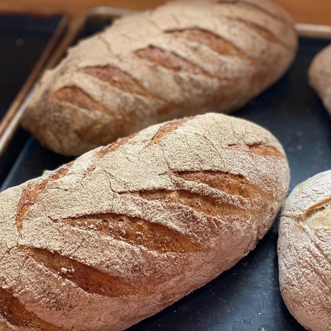 魔女菅原のグルメインスタ