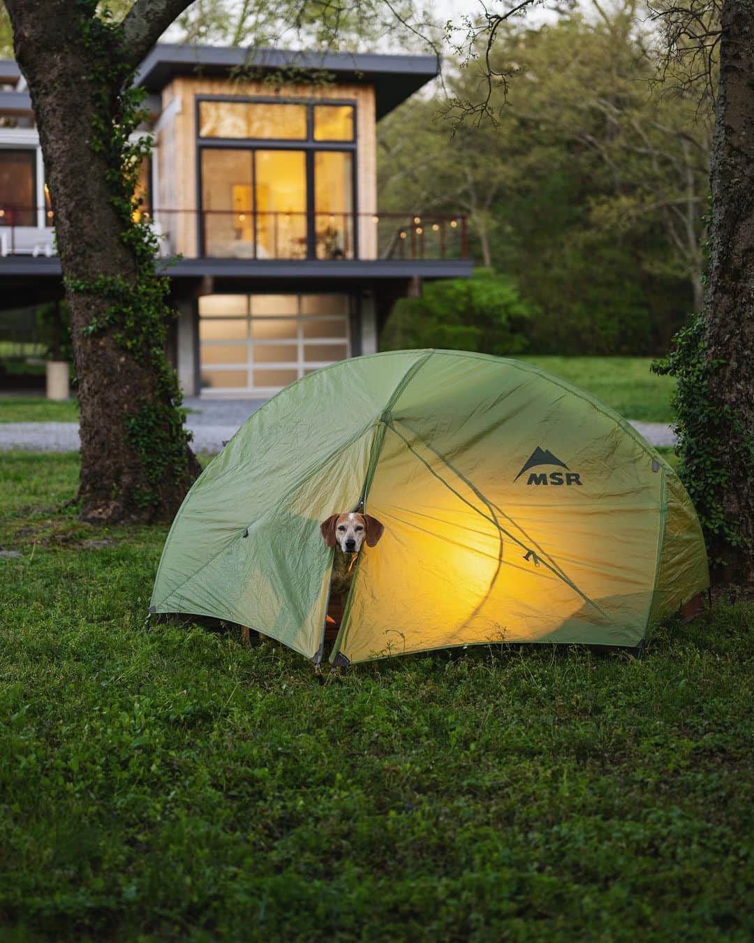 マディのインスタグラム：「Anyone else yard camping yet?! Feels good to sleep out side again...I tell y’all what, I ain’t gonna take for granted all those simple & lovely details of sharing life with others when all this shakes out🏕」