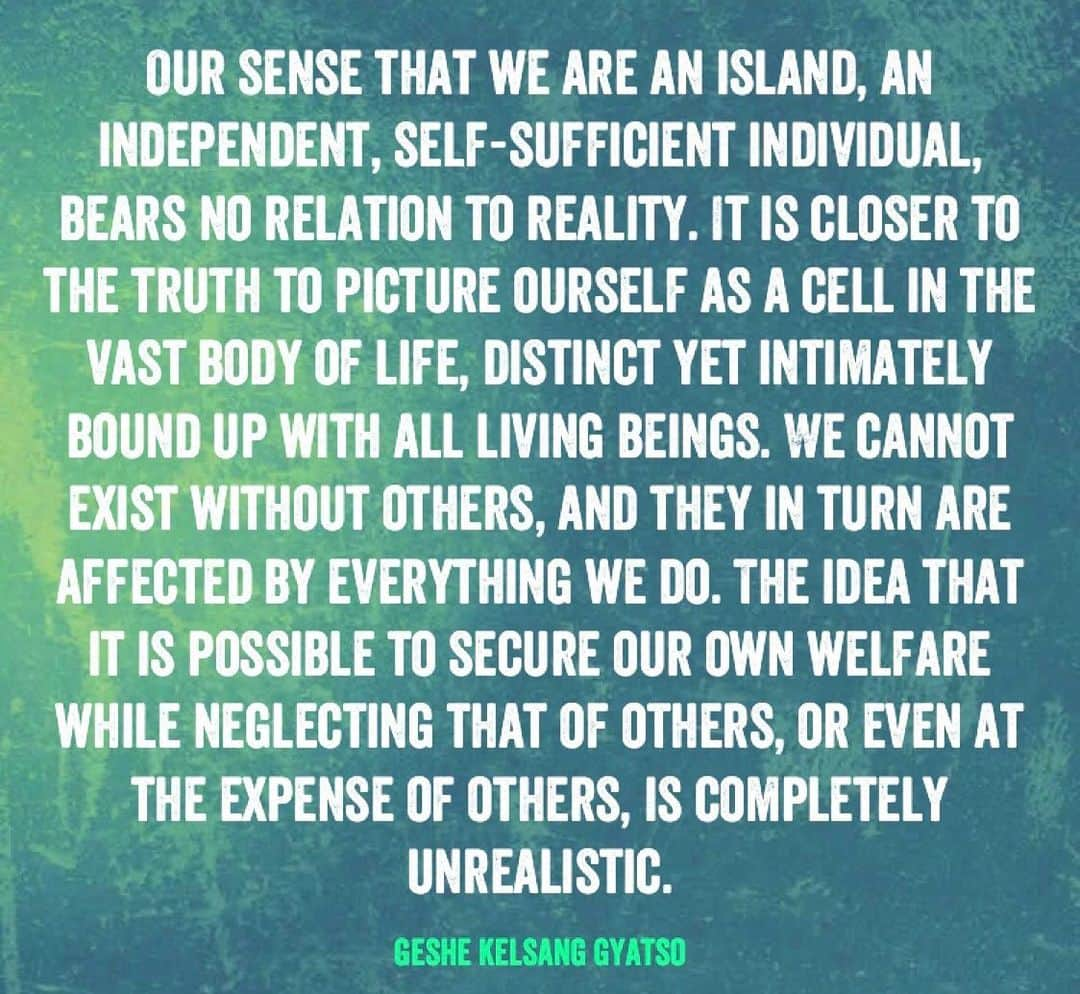 チェリーン・ダビスさんのインスタグラム写真 - (チェリーン・ダビスInstagram)「Something to ponder as we face the depths of our #interconnectedness #buddhism #geshekelsanggyatso」4月3日 1時57分 - cheriendabis