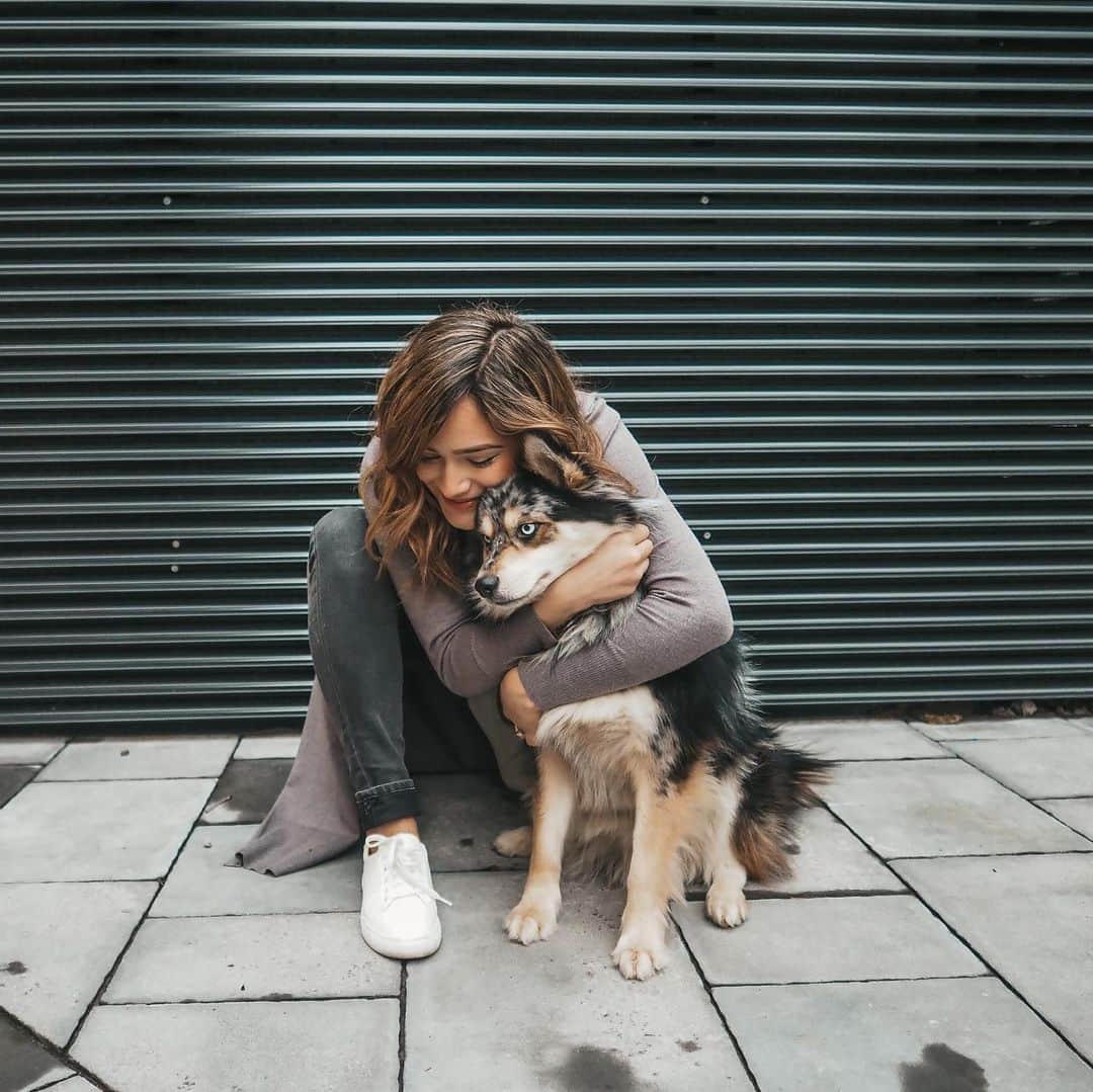 チャチー・ゴンザレスのインスタグラム：「Happy 2nd Bday to my good boy @t.rexthepom ❤️ all of my babies are growing so fast my heart can’t take it! I can’t wait to have my boys back in Finland with us. Thank you T Rex for the unconditional love and for letting me be as annoying as I want to you.」