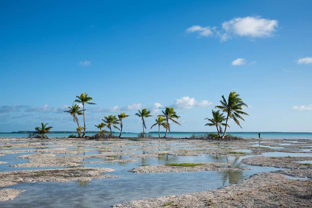 ジョン・ジョン・フローレンスさんのインスタグラム写真 - (ジョン・ジョン・フローレンスInstagram)「Looking back through photos from our sailing trip last year, Palmyra Atoll and Fanning Island. More about VELA project soon」4月3日 4時32分 - john_john_florence