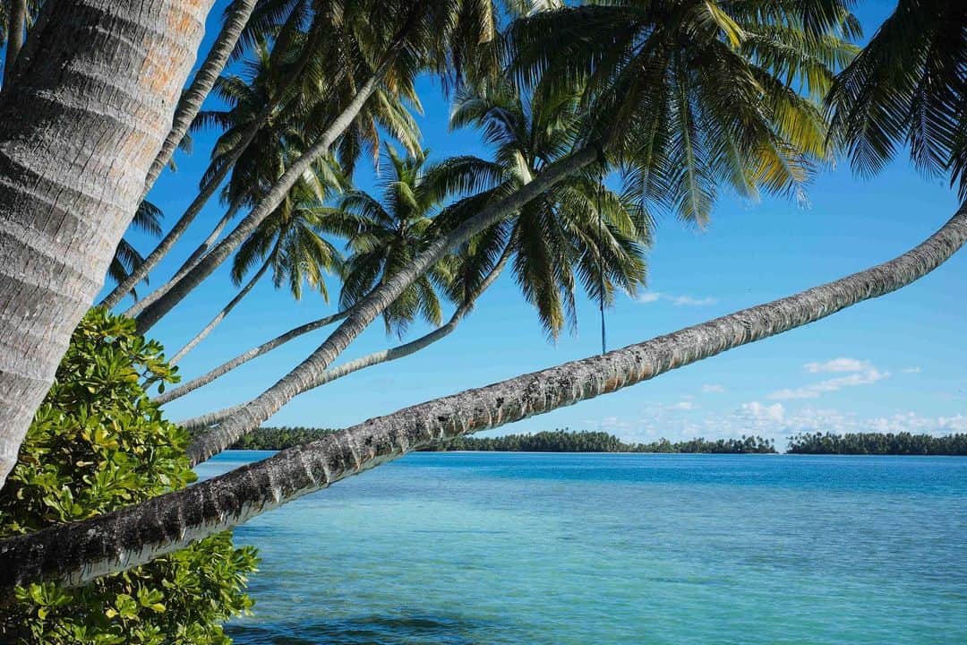 ジョン・ジョン・フローレンスのインスタグラム：「Looking back through photos from our sailing trip last year, Palmyra Atoll and Fanning Island. More about VELA project soon」