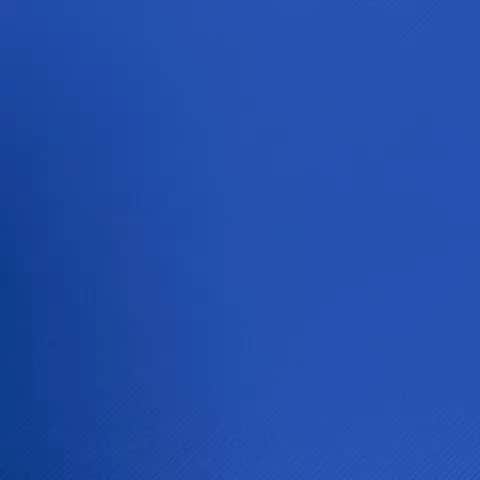 トニー・アゼベドのインスタグラム：「Proud to be a part of the panam athletes commission!」