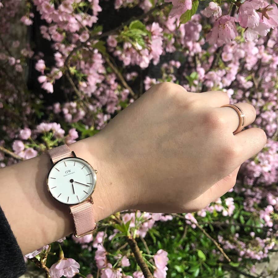下平夏奈さんのインスタグラム写真 - (下平夏奈Instagram)「おはようございます♩  今日はみなさんに桜をお届け🌸  新学期や卒業、 新たな旅立ちや出会いの季節。  桜を見るといろんな思い出が 溢れ出します✨  今年のお花見は延期になって しまったので また来年のお楽しみかな？  最近よく着けている @danielwellington の カジュアルな時計と 桜のコラボが素敵だったので カメラでぱしゃり☆  小さめのフェイスがお気に入り♩ : : 【お得な情報をシェア】 ・4/20まで、フラワーシーズン限定ウォッチ期間限定販売！ ・サクラの限定ラッピング＆しおりは  公式WEBショップで数量限定です！ : ◽️クーポンコード → kana01 (有効期限 2020.5.20まで) ◽️公式サイトのURL → https://www.danielwellington.com/jp : : #ダニエルウェリントン  #pr #watch #timetoblossom  #オシャレさんと繋がりたい  #桜 #チェリーブロッサム  #cherryblossom #pink  #花柄 #シンプル #指輪 #ring  #sports #athlete #workout  #cap #denim #fashion  #fashiongram #下平夏奈  #photography #flower  #お花見 #ピクニック #お弁当  #アクセサリー #オシャレ #小物」4月3日 8時26分 - kana0412.sss
