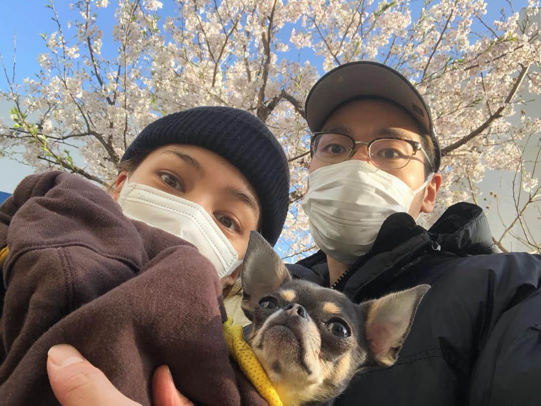 のインスタグラム：「🤝🌸 少し前に近所へ買い出しに行った時の 道端に咲いていた桜が綺麗だった。 みんな、辛いことばかりだけど それよりも今何をすべきか 何ができるかを考えよう。 全ては "自分の命＝全ての命" の為に。 ストーリーズに書いたこと 投稿でもおさらい。 . ♡今できること♡ _____ ・手洗いうがい ・マスクの着用 ・顔を触らない (目,鼻,口ね。これがかなり大事です。触るという行動から感染のリスクはグッと上がるそうです。) ・iPhoneなどのスマートホンを除菌すること (たくさん菌がついているらしいので、除菌シートがなくてもテッシュを濡らして拭くだけでも違うそう) ・人と会わない (電話やテレビ電話で声を聞いたり顔を見て充分に気持ちが紛れます) ・お家の中にいること (お仕事の方もいらっしゃると思いますが、調整できる人はなるべくしてほしいという、あくまでも願いです。国になんとかしてほしい…) ・熱めのお湯に長風呂 (菌は熱に弱いものとされているので心臓に負担がかかるなどの理由でNGとされている方以外は是非) ・加湿すること (湿度にも菌は弱いと聞いたので、加湿器,無ければ熱いお湯を浴槽かたらいなどに入れたり部屋干しもあり) ・家でできる簡単な運動 (体力をつけておくことも大切なので無理のない程度に) ・楽しいことをして、笑う (心の健康も大切！TVでもYouTubeでもなんでもいいです！一日のどこかに楽しいことを) _____  これならきっとみんなが出来ることだと思います。 これをやっているかやっていないかで、大きくこれからが変わってくるはず。 "大丈夫"なんてことは、ないのです。 これ以上、悲しいニュースは見たくない。 人事とは思わず、みんなで頑張っていきましょう。 頑張れば、大好きな人達に会える。 行きたい場所に行ける。 たくさんのHappyが待っています。 みんな、楽しく生きたいよね？ 心を一つに！！ . ※よかったらシェアしてください  #love #happy #life #wecandoit #stayhome #staysafe #コロナに負けるな #コロナ対策 #今できること」