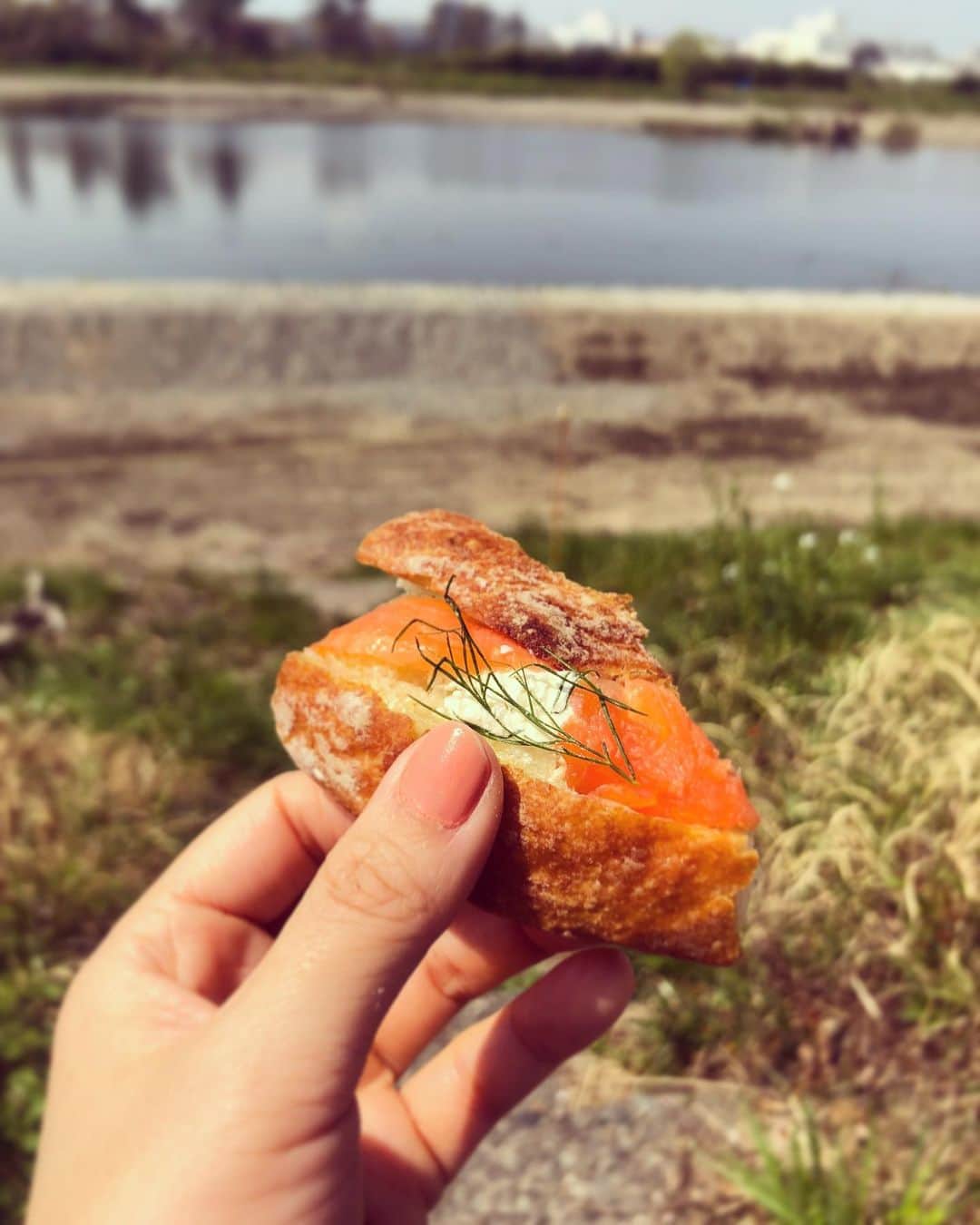 井上侑さんのインスタグラム写真 - (井上侑Instagram)「朝早く、ジョギングをして  河原でサーモンサンド🥪  ずっと家にいたから足が重たかった。 運動せにゃ。  明日あさっても家でゆっくりと。  また「お家deライブ」  配信もしようかな  #salmon #sandwiches #creamcheese #riverside #japan」4月3日 18時33分 - yuinouehappy