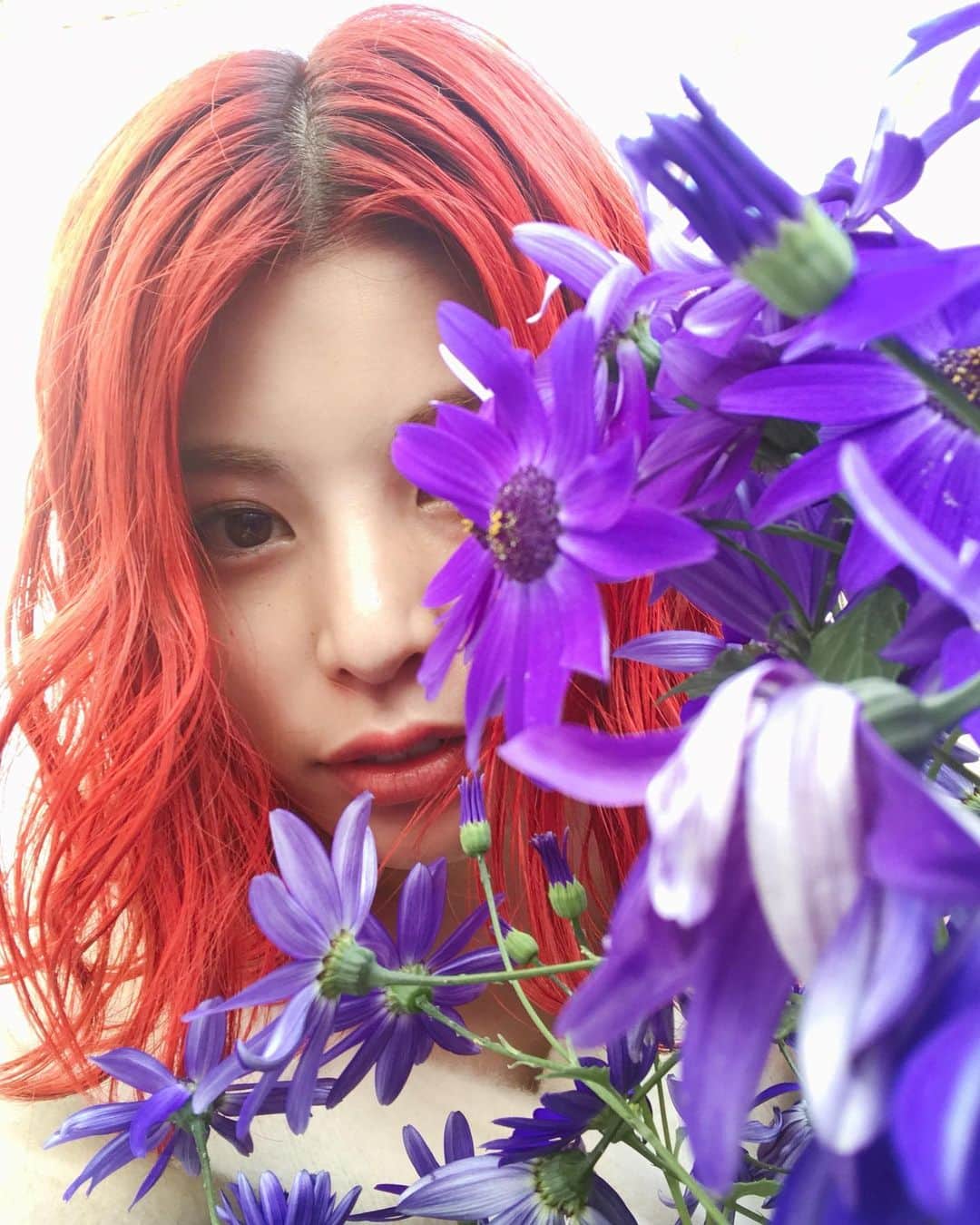 ほな・いこかのインスタグラム：「🌺」