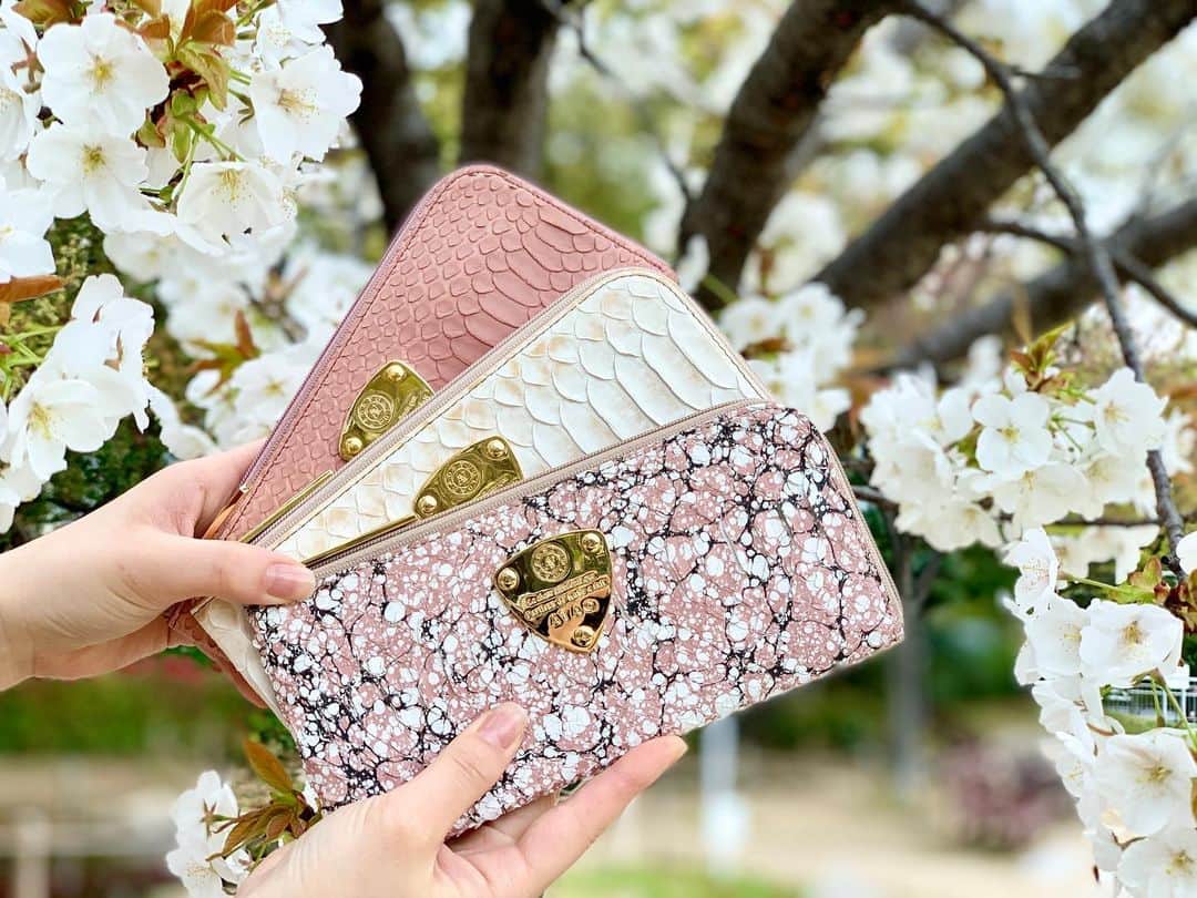 ATAO(アタオ)のグルメインスタ