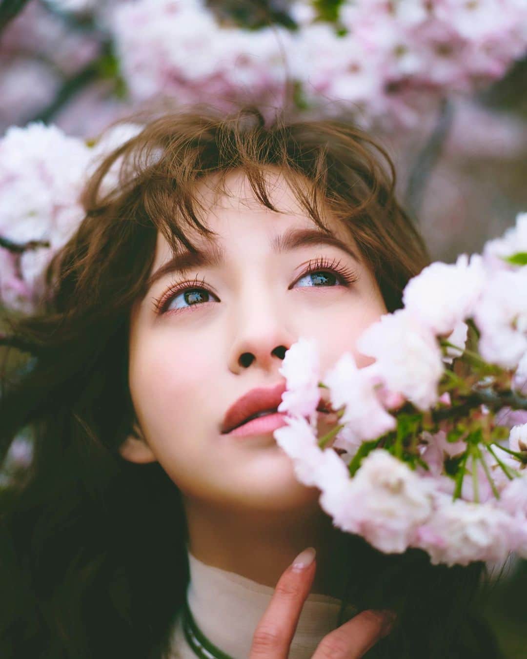 野崎萌香さんのインスタグラム写真 - (野崎萌香Instagram)「🌸🌸🌸 #One year ago cherry blossoms」4月3日 10時45分 - moeka_nozaki
