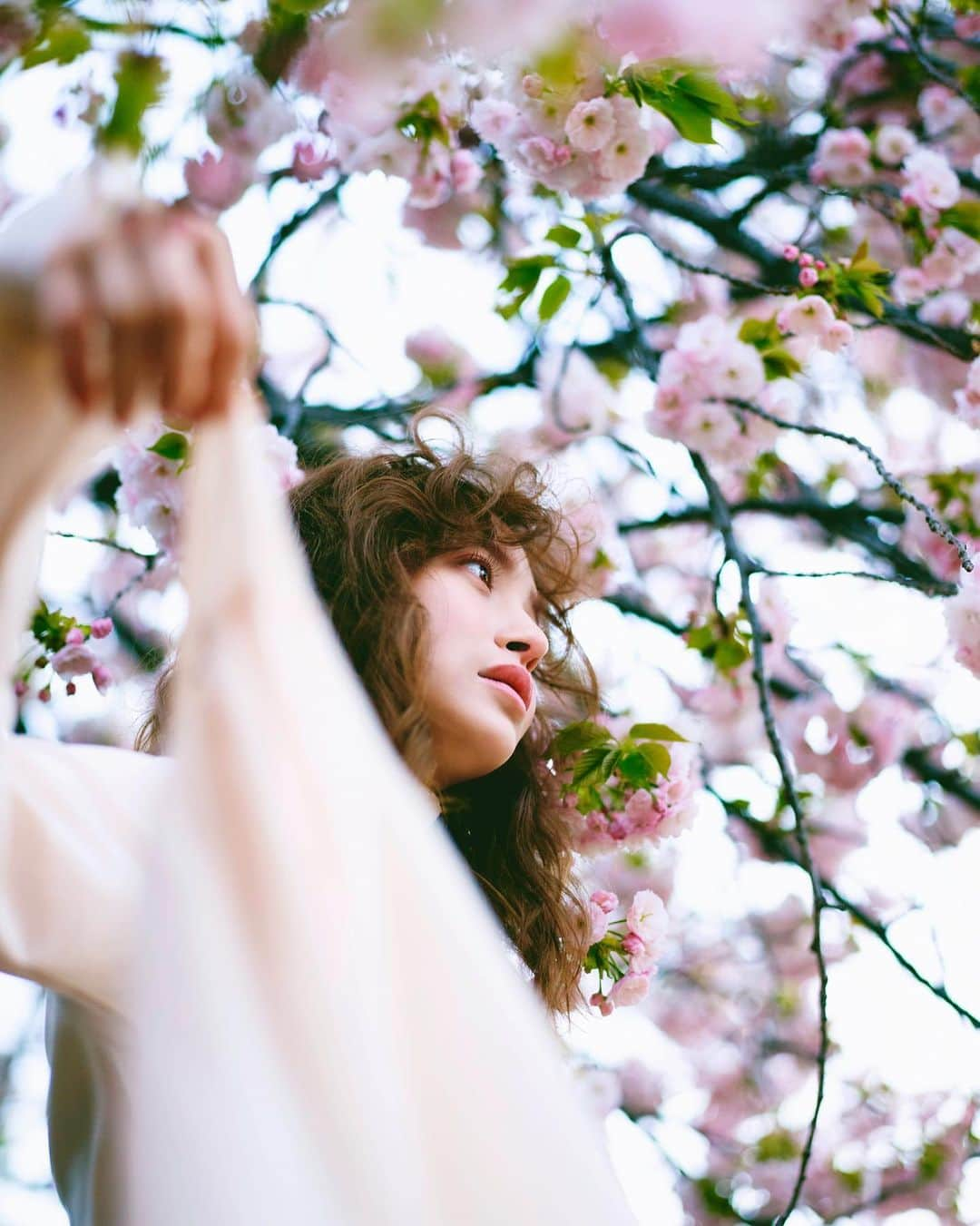 野崎萌香さんのインスタグラム写真 - (野崎萌香Instagram)「🌸🌸🌸 #One year ago cherry blossoms」4月3日 10時45分 - moeka_nozaki