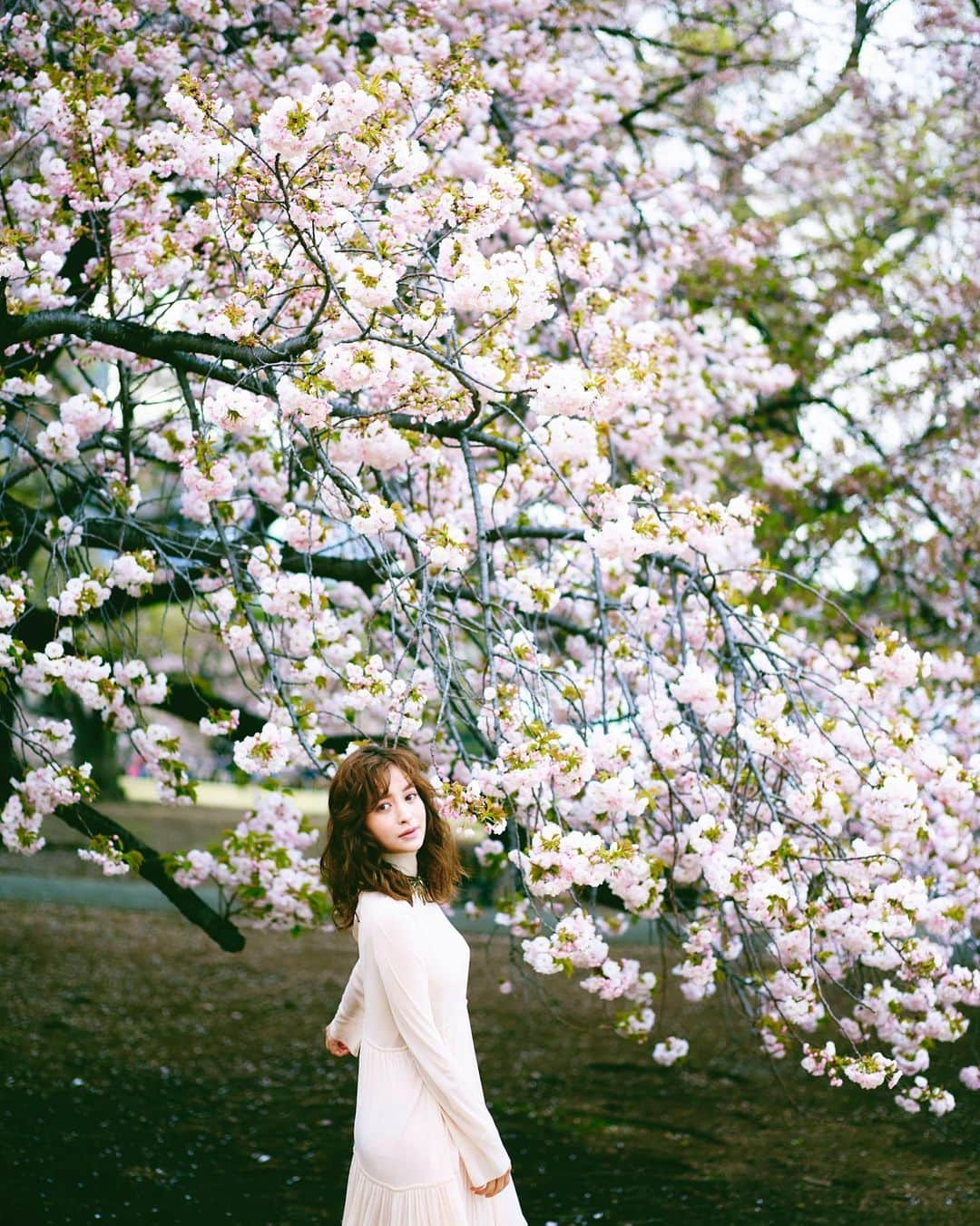 野崎萌香さんのインスタグラム写真 - (野崎萌香Instagram)「🌸🌸🌸 #One year ago cherry blossoms」4月3日 10時45分 - moeka_nozaki