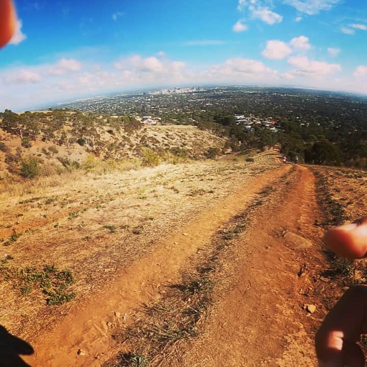 土井雪広のインスタグラム：「本日のトレラン。 脚が終わりました…🤪🤪🤪 #trailrunning #australia」