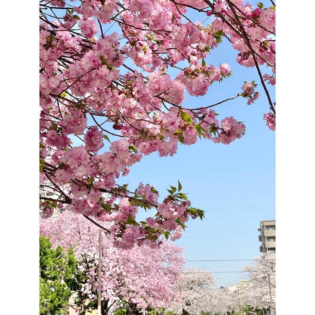 吉野史桜のインスタグラム