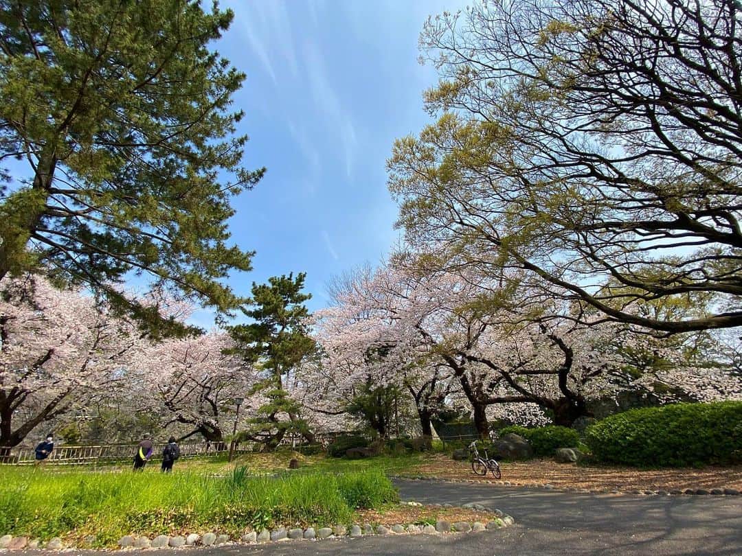 ピエール北川のグルメインスタ