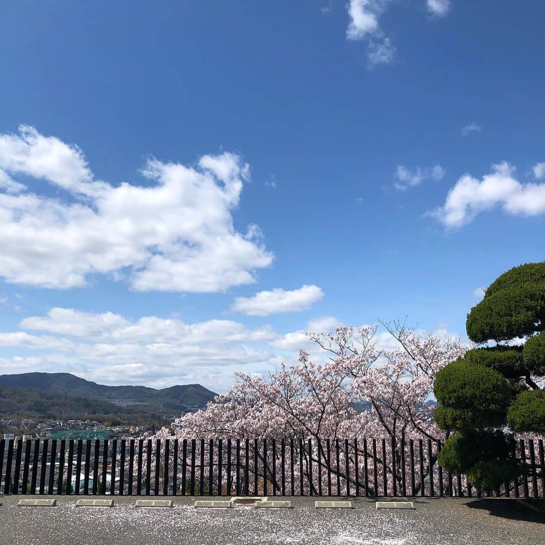 貴千碧のインスタグラム：「観に来て下さるご予定でした皆様、大変申し訳ございません。 やはりこの状況下では実現する事は叶いませんでした。 5月に予定されておりました「いつかの空と、永遠」公演中止となりました。 この作品を観に行くために貴重なスケジュールをあけて下さっていた皆様、そしてこの作品をより良いものにしようと沢山スケジュール調整をしたり、動き回って下さいました演出家の沢口千恵さん、歌唱指導のYUKOさん、そして出演者の皆様と振付師の坂田守先生、神勢大也先生、古澤美樹先生、紗綾先生に心の底から感謝の気持ちでいっぱいです。  私の仕事は美味しい佃煮を作ること、ダンスが大好きな気持ちと熱を同じくダンスが大好きな方々に微力ながらお伝えすること、そして自分の中から湧き出てくる思いやイメージを沢山の方に観て頂くこと。 そのどれにも共通する事は私がしている事を通して「表現」したものを皆様にお伝えして素晴らしい「ご縁」をつないでいく。そう思っています。  今この時期にしか出来ないことが山のようにあるはずだと思います。 毎日を無駄にしたく無い。そう思っています。 一刻も早く世界中の皆様が沢山の笑顔と活力に溢れ、エンターテイメント業界が活気を取り戻し、平穏な日々が訪れますように。それが私の願いです。 . . . . #起こり得る全てのことには意味がある #経験　した全てが自分の#血となり肉となる 最高のメンバーと共演したかった 。 この公演を企画して下さいました事に#心からの感謝を」