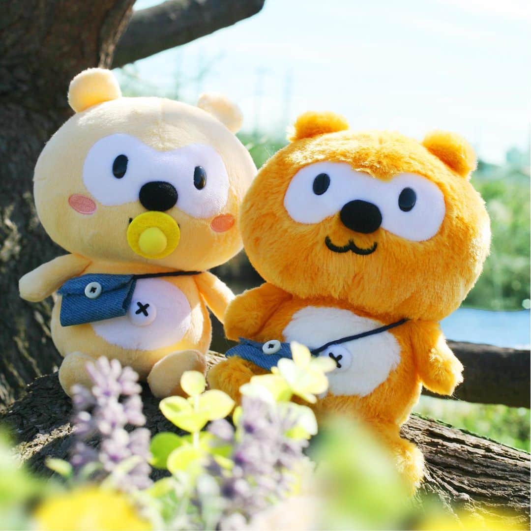 ポンタのインスタグラム：「. . 暖かくなってきたね🍀 ２人から元気をもらったよ😊 . . みんなにも幸せが届きますように・・⭐️ . . . #ponta #ポンタ #ポンタカメラ #photobyポンタ #いつでも一緒　＃そばにいるよ　#幸せが訪れますように #かわいい #ぬい撮り #ちょっこりさん #ポンスタグラム #撮りポン」
