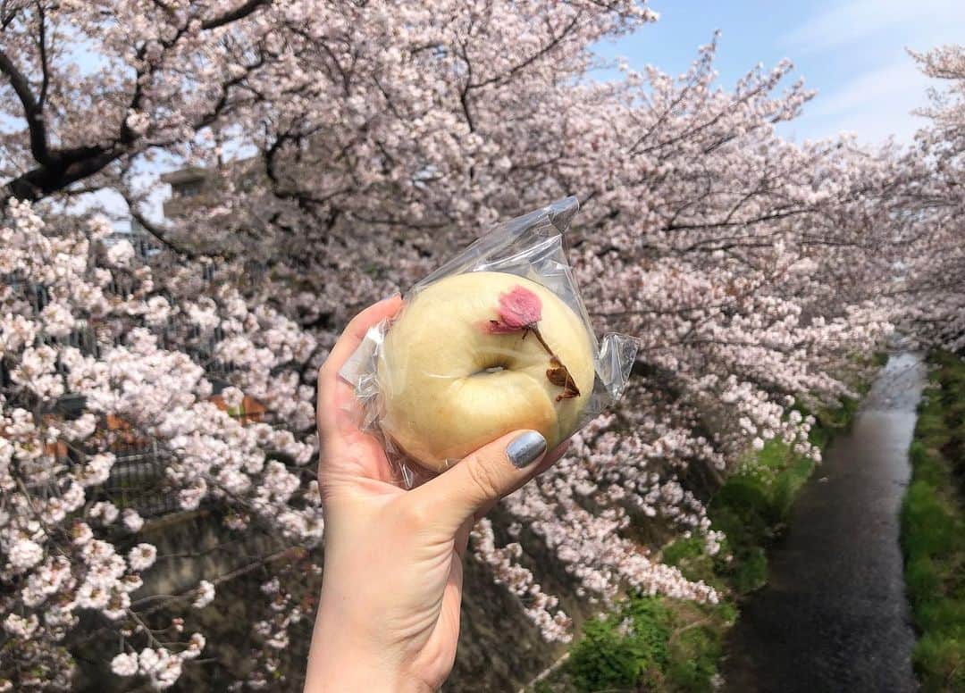 ゆりあさんのインスタグラム写真 - (ゆりあInstagram)「. . . . あの日のBAGEL🌸 . . . . 早いもので、もう外は 葉桜になってしまったねぇ。。 . . . . . . #BAGEL #ベーグル #桜あん #桜ベーグル #🌸 #桜風味 #一番好きな味  #美味しい #ヘルシー #優しい #過去pic #懐かしい一枚 #また皆で食べよう #ここより美味しいBAGELない #控えめにいって日本一 #綺麗作れる #努力は必ず報われる . . .」4月3日 14時09分 - yuria_life