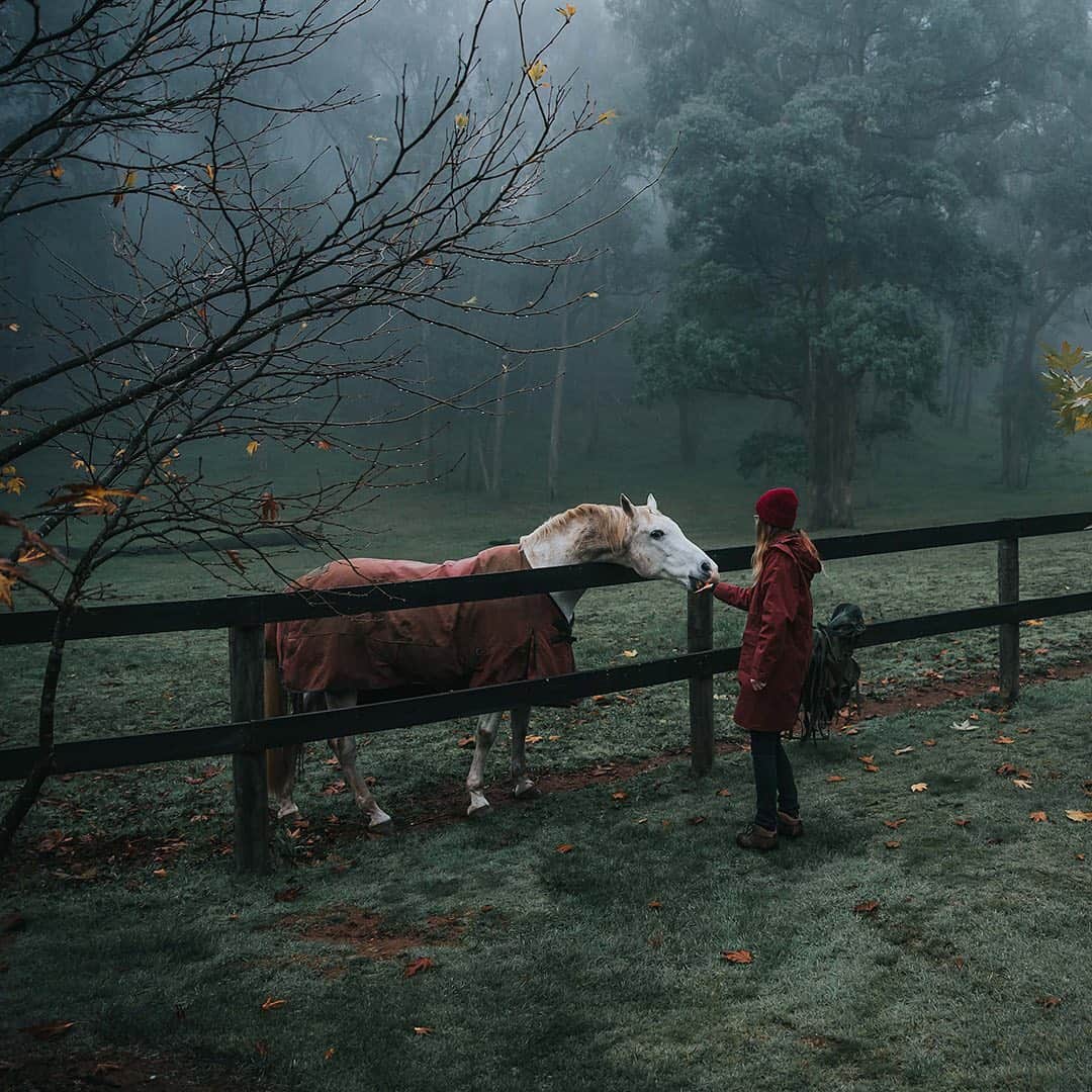 のインスタグラム：「Hazy Autumn mornings 🍂  Image by @camwattsphoto」