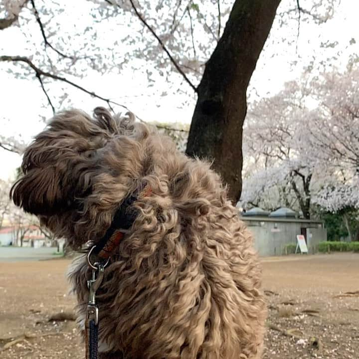 前田典子のインスタグラム