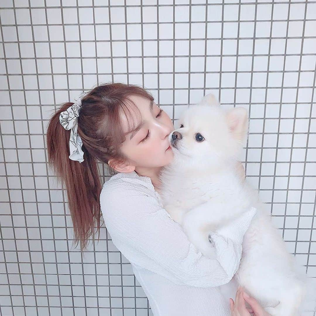 永井麻央さんのインスタグラム写真 - (永井麻央Instagram)「🦊♡🐶 全然カメラ見てくれないし← 重すぎてセルフタイマー腕きつい😭笑 今日もラブラブです💕 . 나에 강아지🐶💕 두부 ♂4살♡♡♡♡ . #とうふたん🐶 #実物のほうが小さいよ #大きいけど😂 #今日も元気です」4月3日 17時01分 - maotin1019