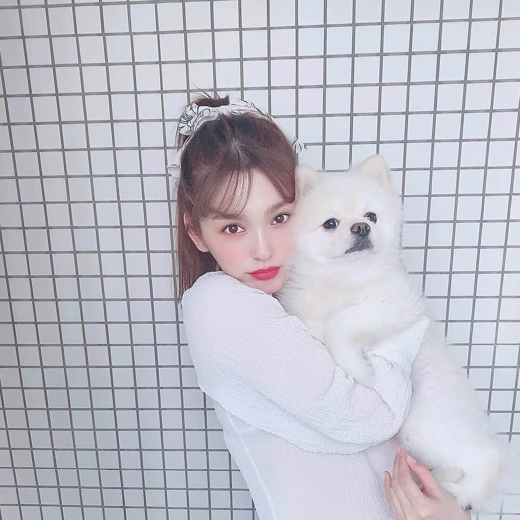 永井麻央さんのインスタグラム写真 - (永井麻央Instagram)「🦊♡🐶 全然カメラ見てくれないし← 重すぎてセルフタイマー腕きつい😭笑 今日もラブラブです💕 . 나에 강아지🐶💕 두부 ♂4살♡♡♡♡ . #とうふたん🐶 #実物のほうが小さいよ #大きいけど😂 #今日も元気です」4月3日 17時01分 - maotin1019