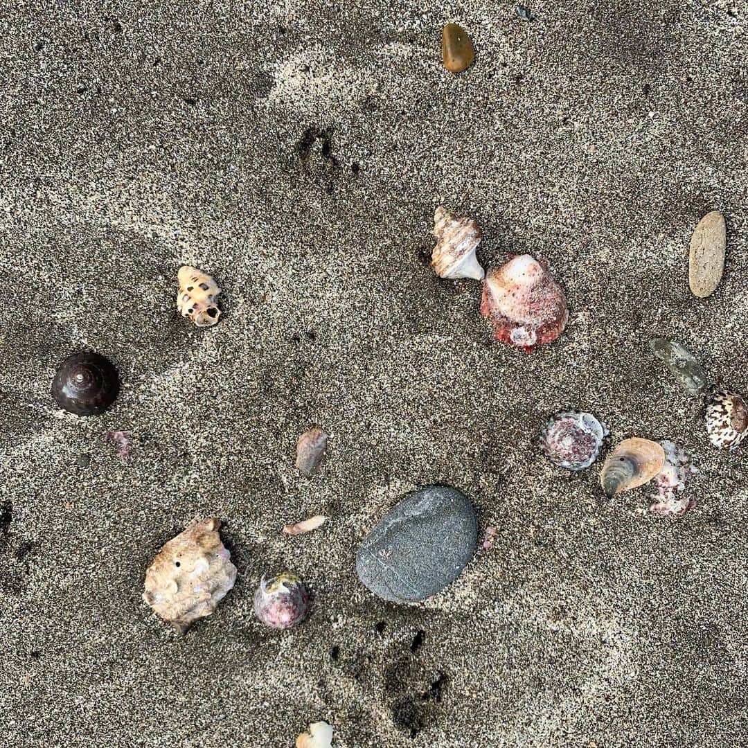 クリス智子さんのインスタグラム写真 - (クリス智子Instagram)「息子を迎えに行きがてら、気晴らしに、ちょっと海に寄り道。  こうして海に出ると、心の光合成ができる感じ、いつになく。  さて、貝拾いぐらいのつもりが、 いきなり走る競争したり（砂ではやめてー💧）、地層ならぬ砂層から、貝殻や石の発掘作業に集中したり、枝2本を一緒に流し、レースさせたり。  ときどきの、こうした時間に、満たされます。  わたしは、海に寄るかもという日は、ポケットのたくさんある服を着ていきます。帰りは、宝物をじゃらじゃら鳴らして。  週末、ひきつづき、しっかり気をつけつつ、 自分の中にある元気を、どうぞ大事に、 すこやかに。  Please have a safe weekend😌  #treasures」4月3日 17時05分 - chris_tomoko