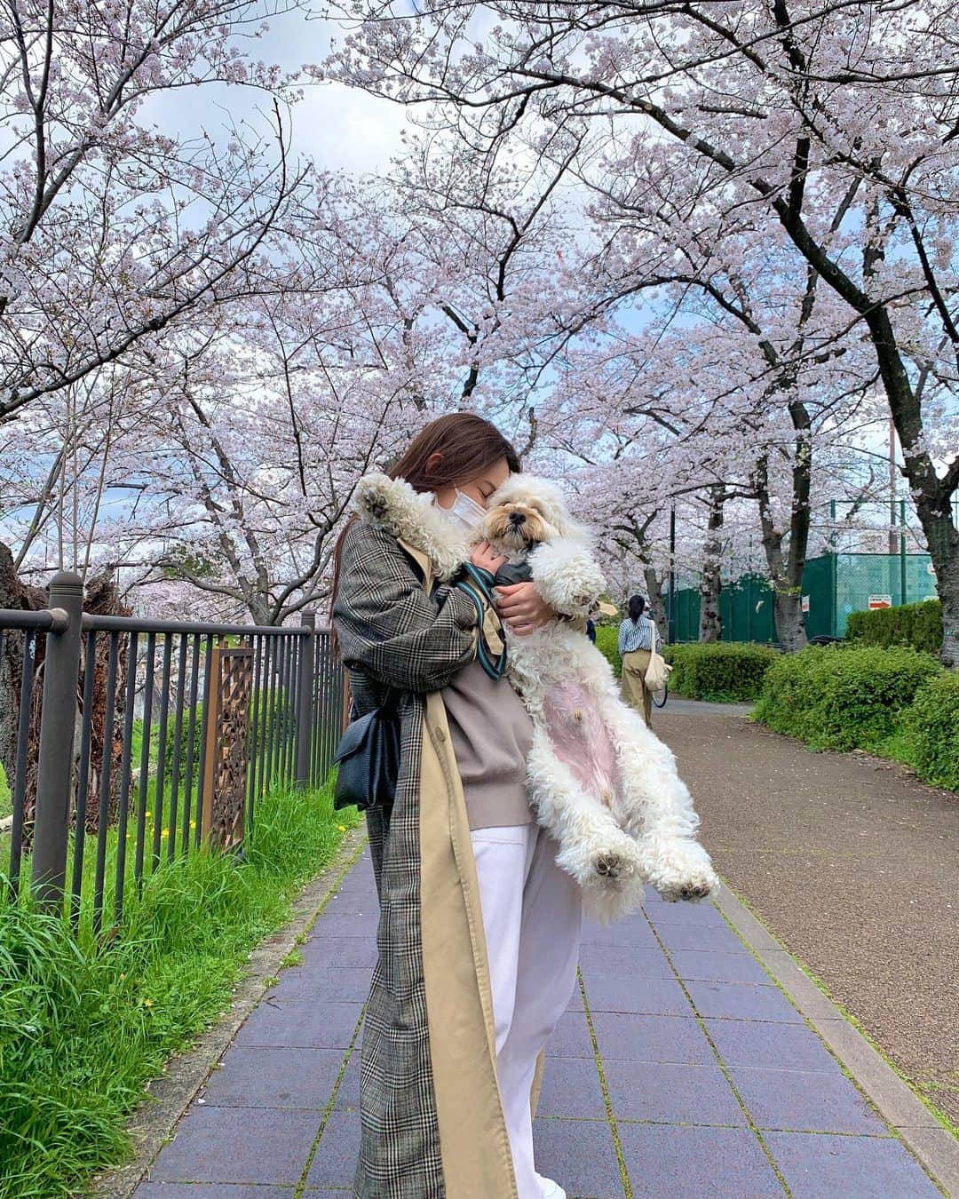 稲垣香澄のインスタグラム：「﻿ ﻿ 知人が4/1に38.5度発熱し、﻿ 咳は出てなかったが病院へ。﻿ ﻿ レントゲンで肺に影がなかったので﻿ ただの風邪との見解。﻿ ﻿ 後日病院にpcr検査を受けたいと伝えても﻿ 37度5分以上が４日続かないと﻿ 検査する保健所に紹介ができないことになっている、との回答。﻿ ﻿ 保健所にpcr検査出来ないか相談しても、﻿ 医師の総合的判断からの紹介がないと直接きても受けられないとの回答。﻿ ﻿ 結局その後熱は一度も出ず、咳も出てないので﻿ 風邪だったみたいで、良かったんですが、﻿ ﻿ 検査がこんなにも受けられないとは…﻿ 自分だったら不安でしょうがないし、﻿ ４日間熱続いてるのにこのどうしようもない状況で悪化し続けたら、、って考えると恐ろしい。﻿ ﻿ これは関東での話です！﻿ pcr検査の状況も変わると思うし、﻿ 県によっても違うと思うけど、﻿ あったことの事実として。﻿ ﻿ このことを聞いて、わたしも一気にコロナを身近に感じました。﻿ 周りにかかってる方がいないので、﻿ なかなか他人事に考えてしまいがちですが﻿ もう他人事ではないよね😭﻿ ﻿ ﻿ わたしも、先月からこどものレッスンは全部お休みで﻿ 今週から働いてるスタジオも休館して、﻿ 仕事0なので早々に実家へ帰らせてもらってます。﻿ みんな不況！！！だからしょうがない！﻿ ﻿ 犬のさんぽか買い物以外は外出ません。﻿ その結果、料理全くしないわたしが﻿ 料理してます、ケーキ焼いてますww﻿ ﻿ 今なら、うちのやんちゃなろいすくん﻿ おさんぽに貸し出ししますよww﻿ ﻿ ﻿ ちょっとでも意識変わりますように。﻿ ﻿ ﻿ #コロナ　#コロナウイルス」