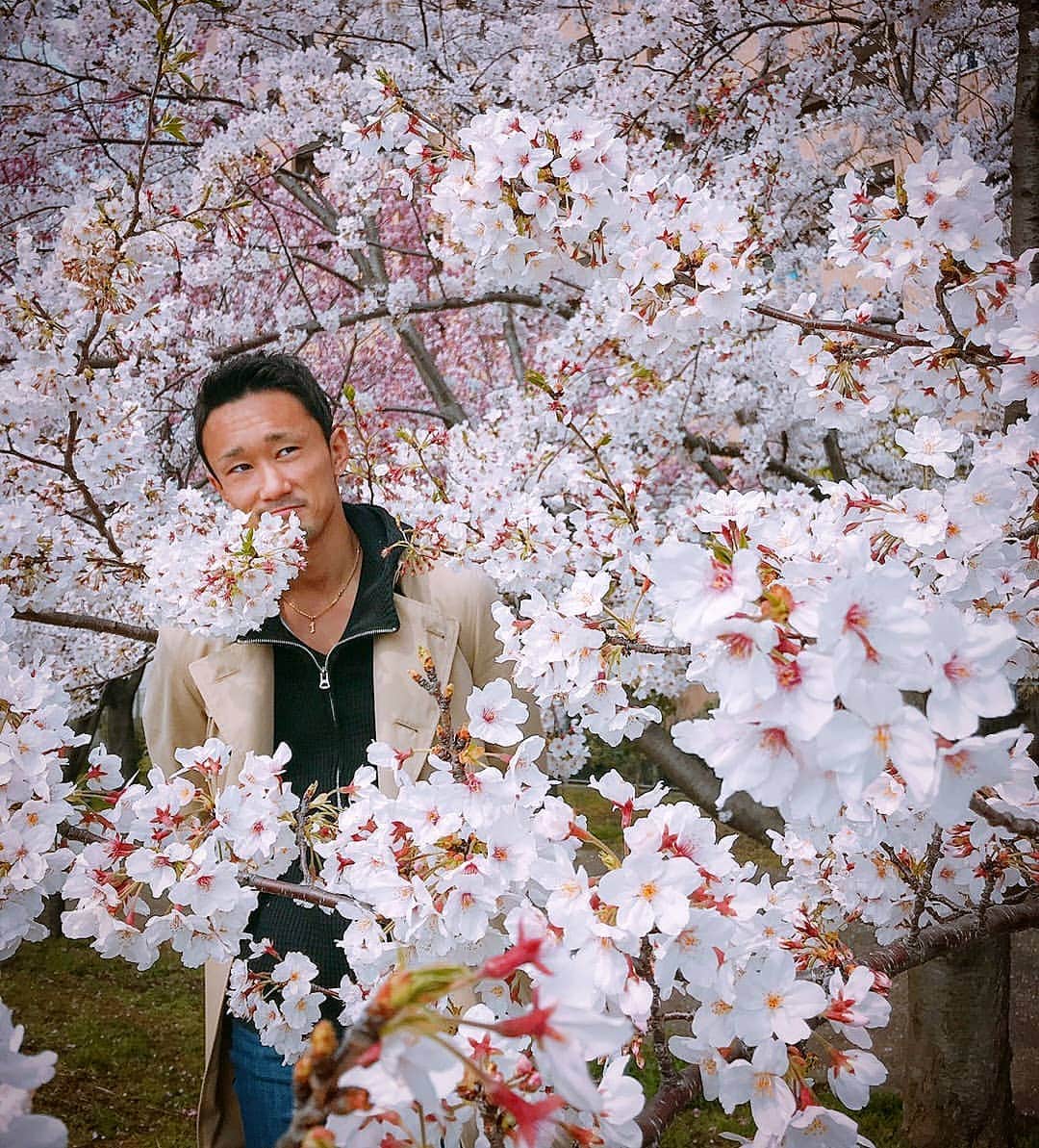 梅野源治のインスタグラム：「地元で通りかかった公園の桜🌸  綺麗だから一枚📸  #桜」