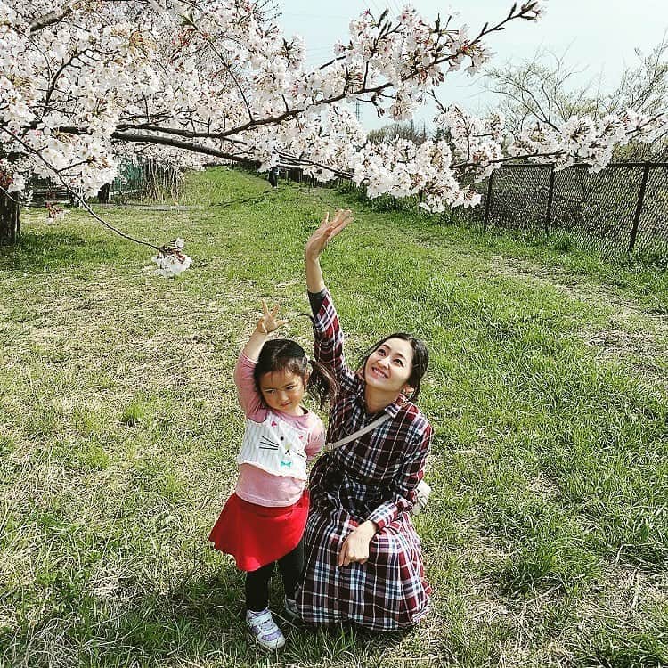 佃井皆美さんのインスタグラム写真 - (佃井皆美Instagram)「Today, I left home after a long time.  I was able to see cherry blossoms again this year in the neighborhood. I was very very happy😊🌸 Thank you sun. ☀️ Thank you nature.☘ #stayhome  #injapan」4月3日 17時35分 - minamitsukui