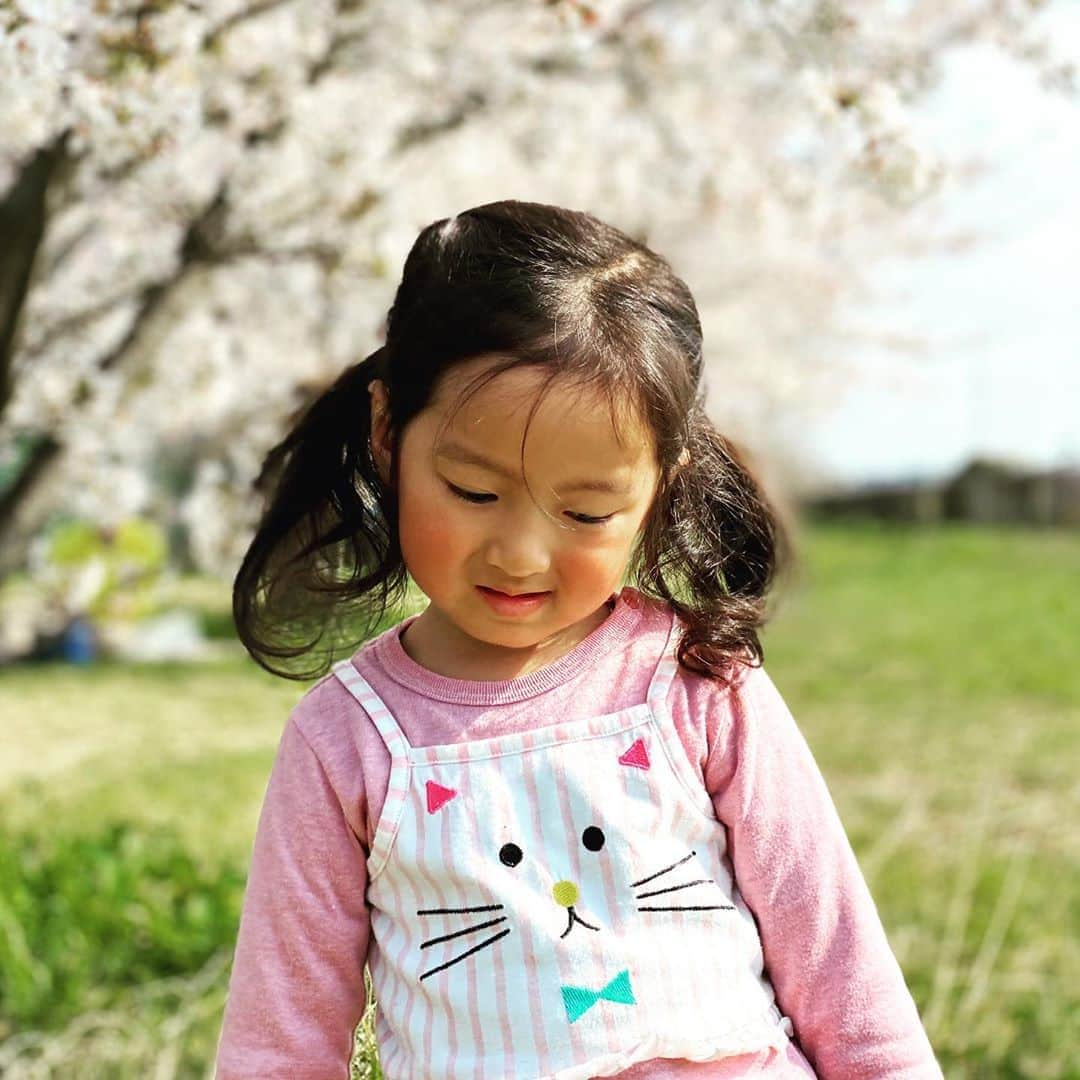 佃井皆美さんのインスタグラム写真 - (佃井皆美Instagram)「Today, I left home after a long time.  I was able to see cherry blossoms again this year in the neighborhood. I was very very happy😊🌸 Thank you sun. ☀️ Thank you nature.☘ #stayhome  #injapan」4月3日 17時35分 - minamitsukui