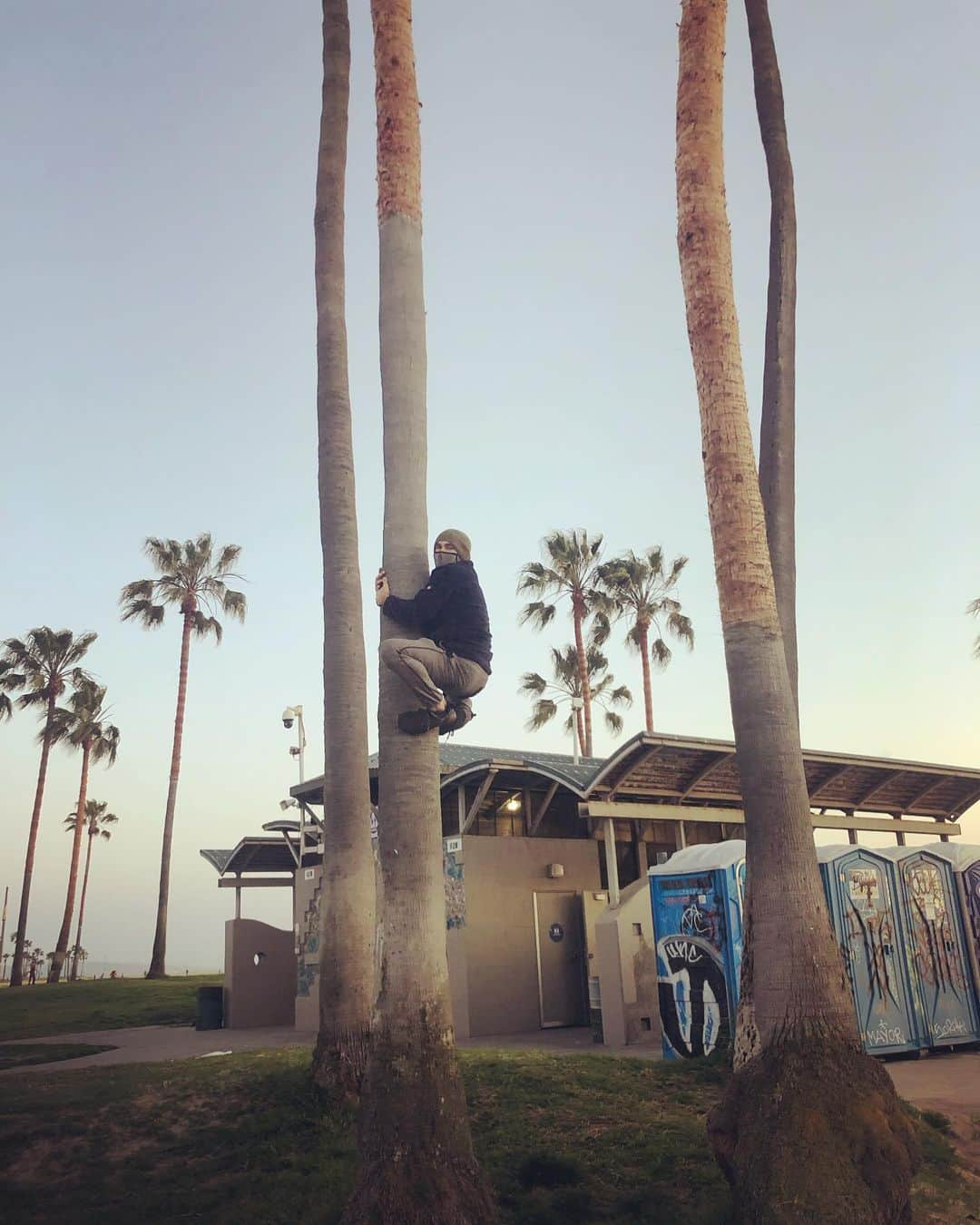 ジェシカ・ストループさんのインスタグラム写真 - (ジェシカ・ストループInstagram)「When you can’t hug a friend... I guess a tree will do? Update: that is not me. I am not that agile but thanks for thinking I was.」4月4日 3時16分 - jessicalstroup