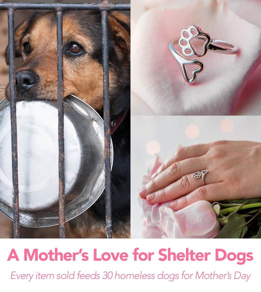 Animalsのインスタグラム：「❤️ THIS RING FEEDS AN ENTIRE ANIMAL SHELTER IN HONOR OF MOTHER'S DAY  This gorgeous sterling silver ring does something amazing – it feeds a whole shelter full of dogs. Honor a deserving mom for Mother’s Day and feed 30 hungry shelter dogs in need when you purchase this item. 👉Link in @iheartdogscom bio.」