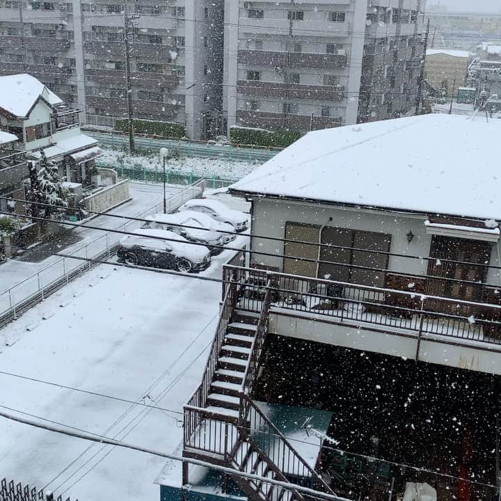 寺島成輝のインスタグラム：「この前の雪❄️ 外出自粛 stay home🏠（寮）」