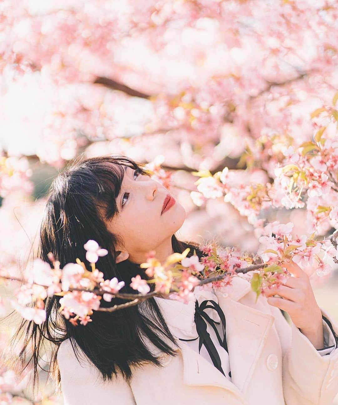 櫻間りえさんのインスタグラム写真 - (櫻間りえInstagram)「春先。いつになったら桜が咲き誇って風に靡かれるのを喜ぶのかな。咲いてはいるけど。」4月3日 20時10分 - _moonciel